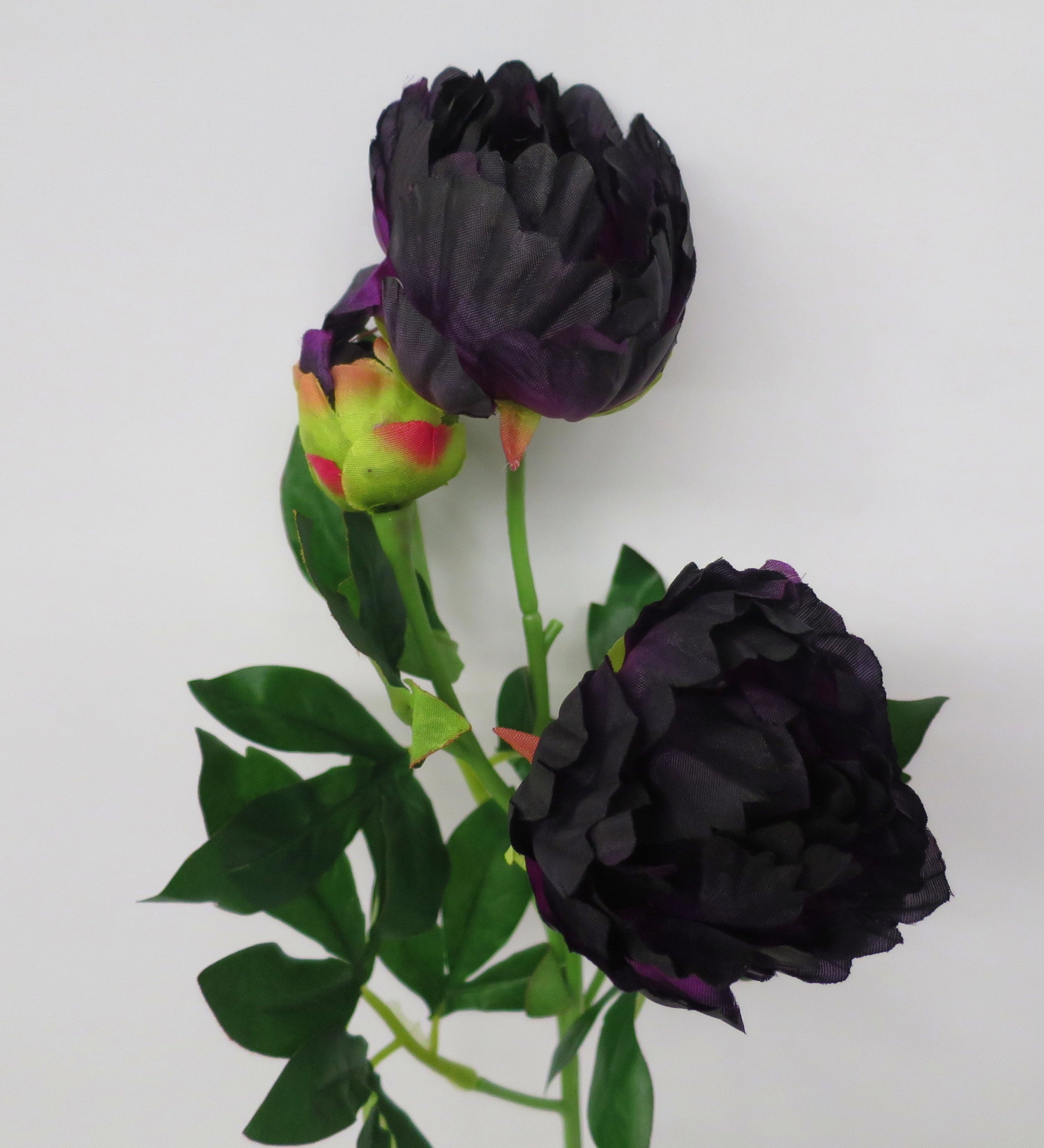 F0213 Peony Spray 65cm Dark Purple