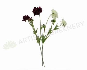 F0214 Scabious Spray 72cm Plum / White outdoor greenery  