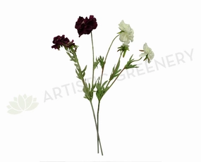 F0214 Scabious Spray 72cm Plum / White indoor houseplants  