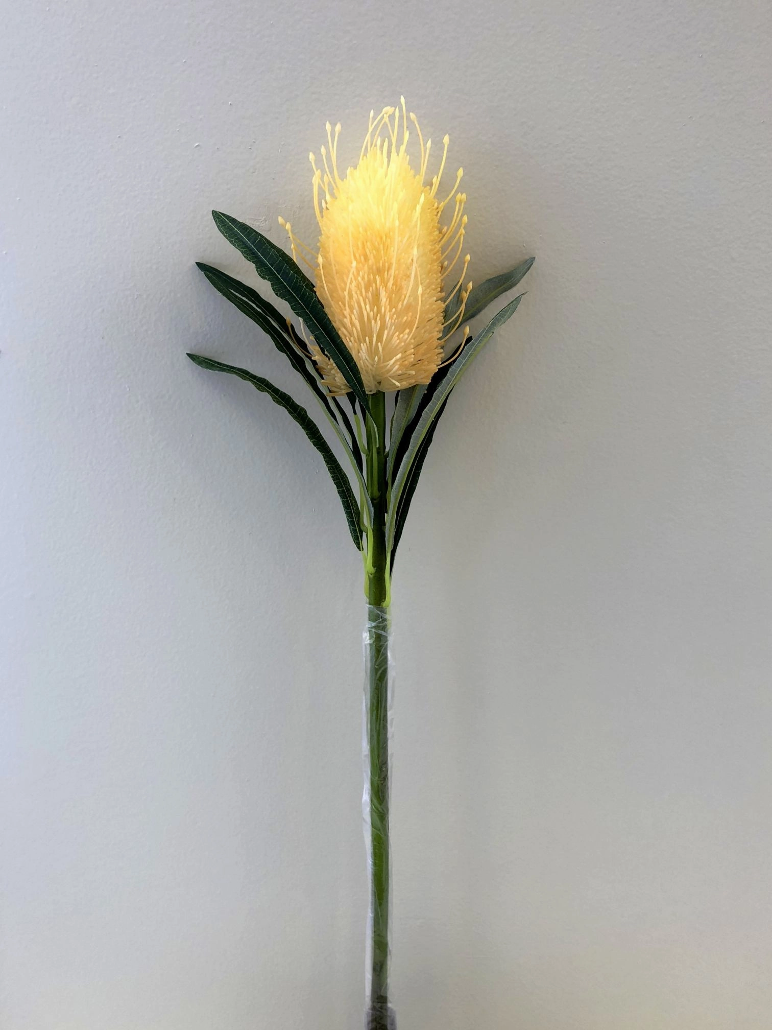 F0218 Banksia Stem 60cm Orange / White / Light Green / Cream