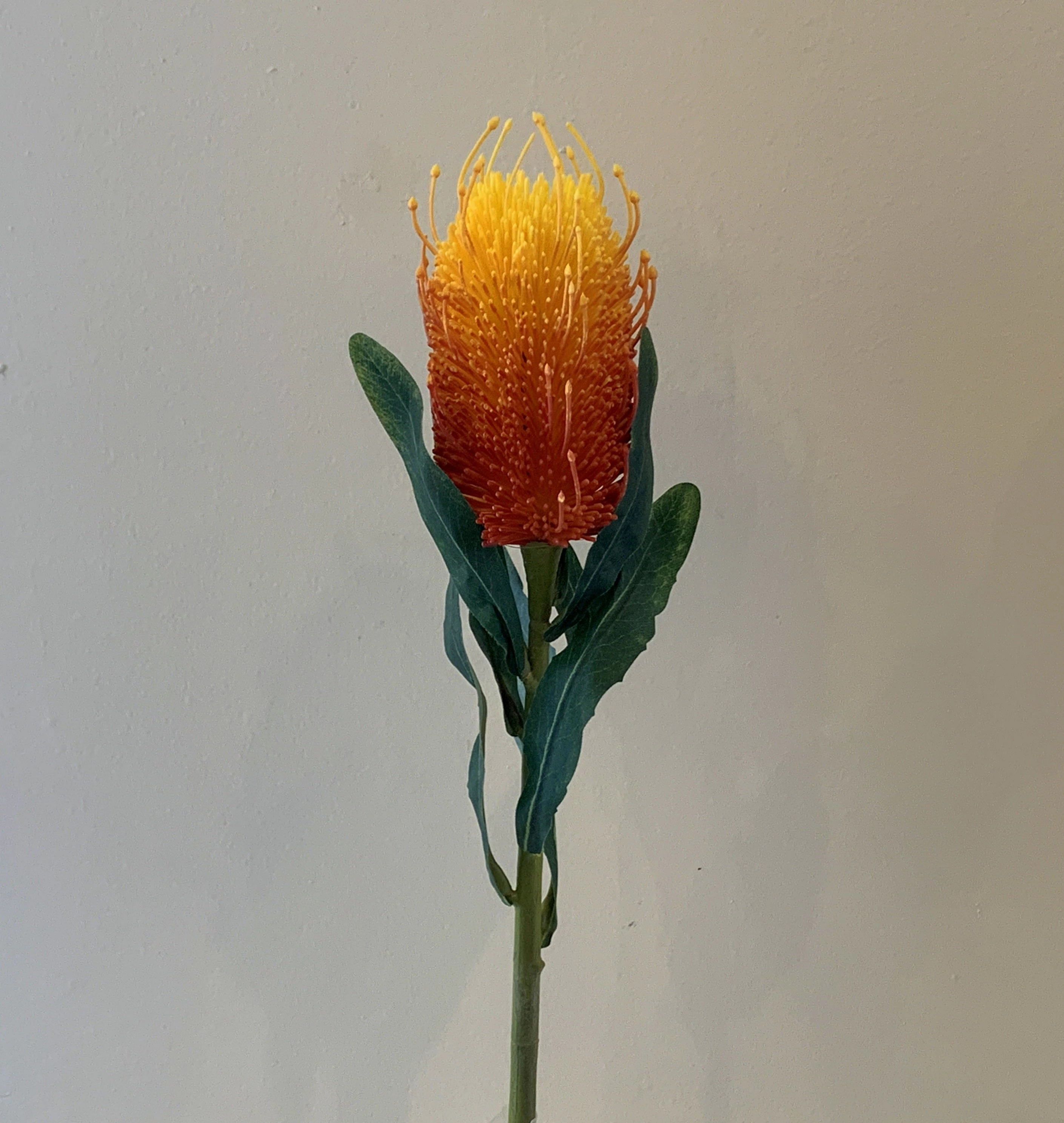 F0218 Banksia Stem 60cm Orange / White / Light Green / Cream