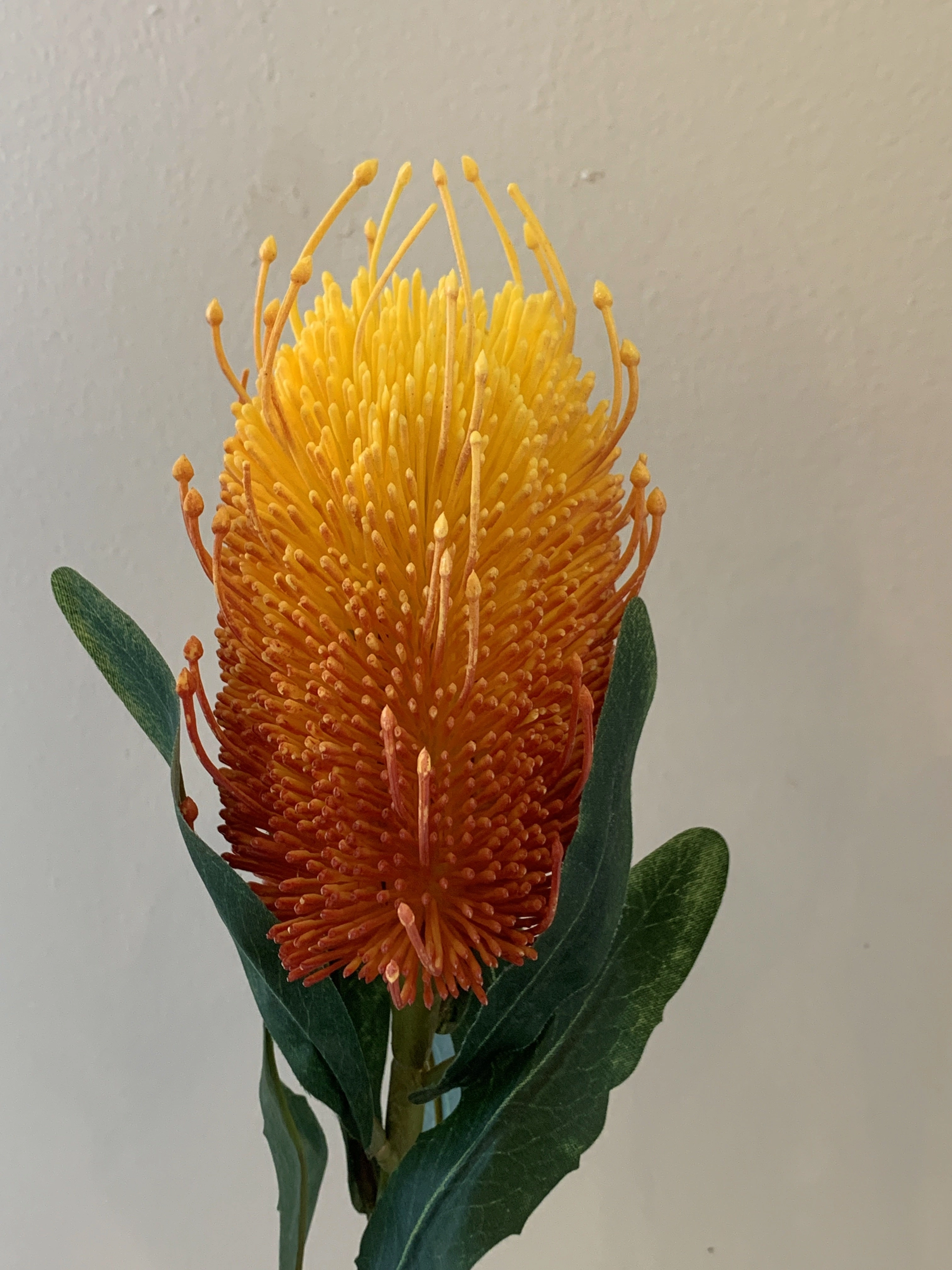 F0218 Banksia Stem 60cm Orange / White / Light Green / Cream
