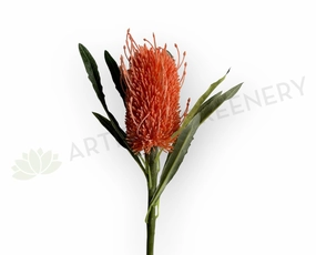 F0218 Banksia Stem 60cm Orange outdoor greenery  