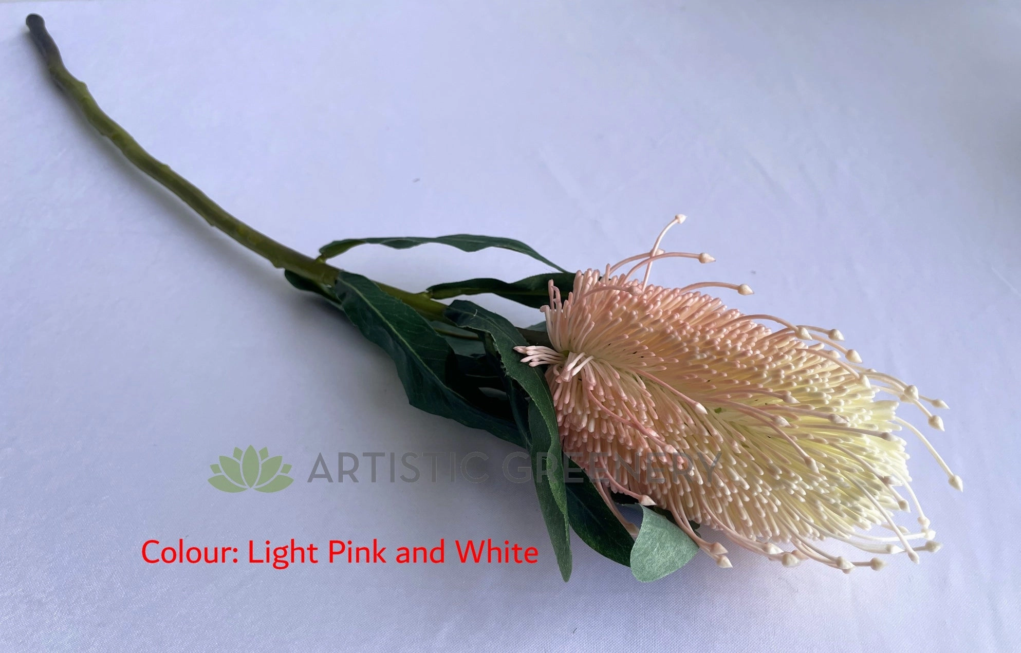 F0218-S85 Banksia Stem 60cm Light Pink & White / Light Green & White / Yellow