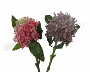 F0220 Waratah Flower 42cm Red / Purple outdoor greenery  
