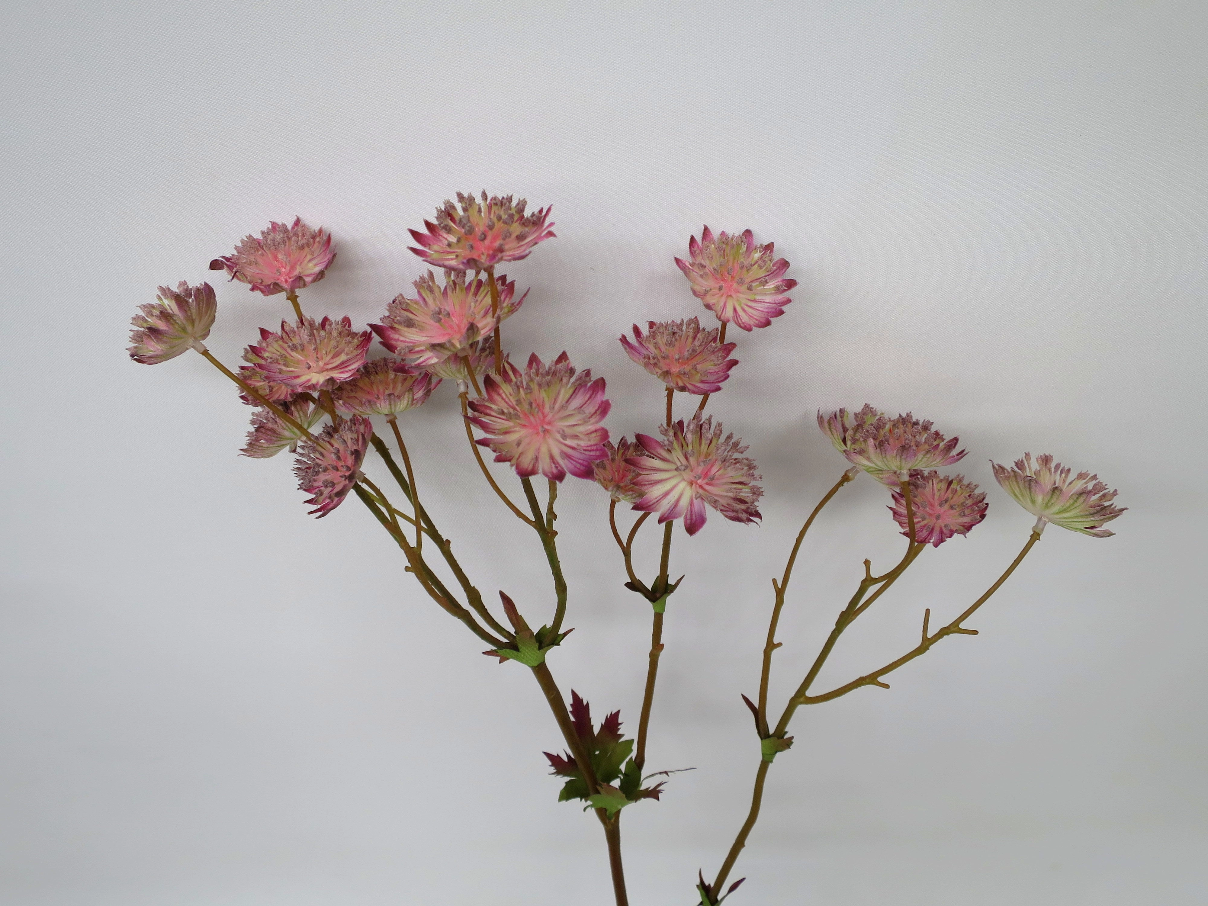 F0225 Astrantia Spray 61cm Pink