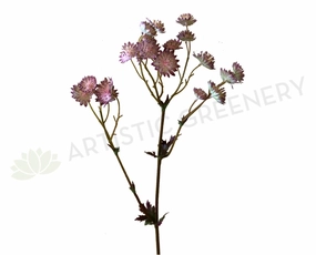 F0225 Astrantia Spray 61cm Pink outdoor greenery  