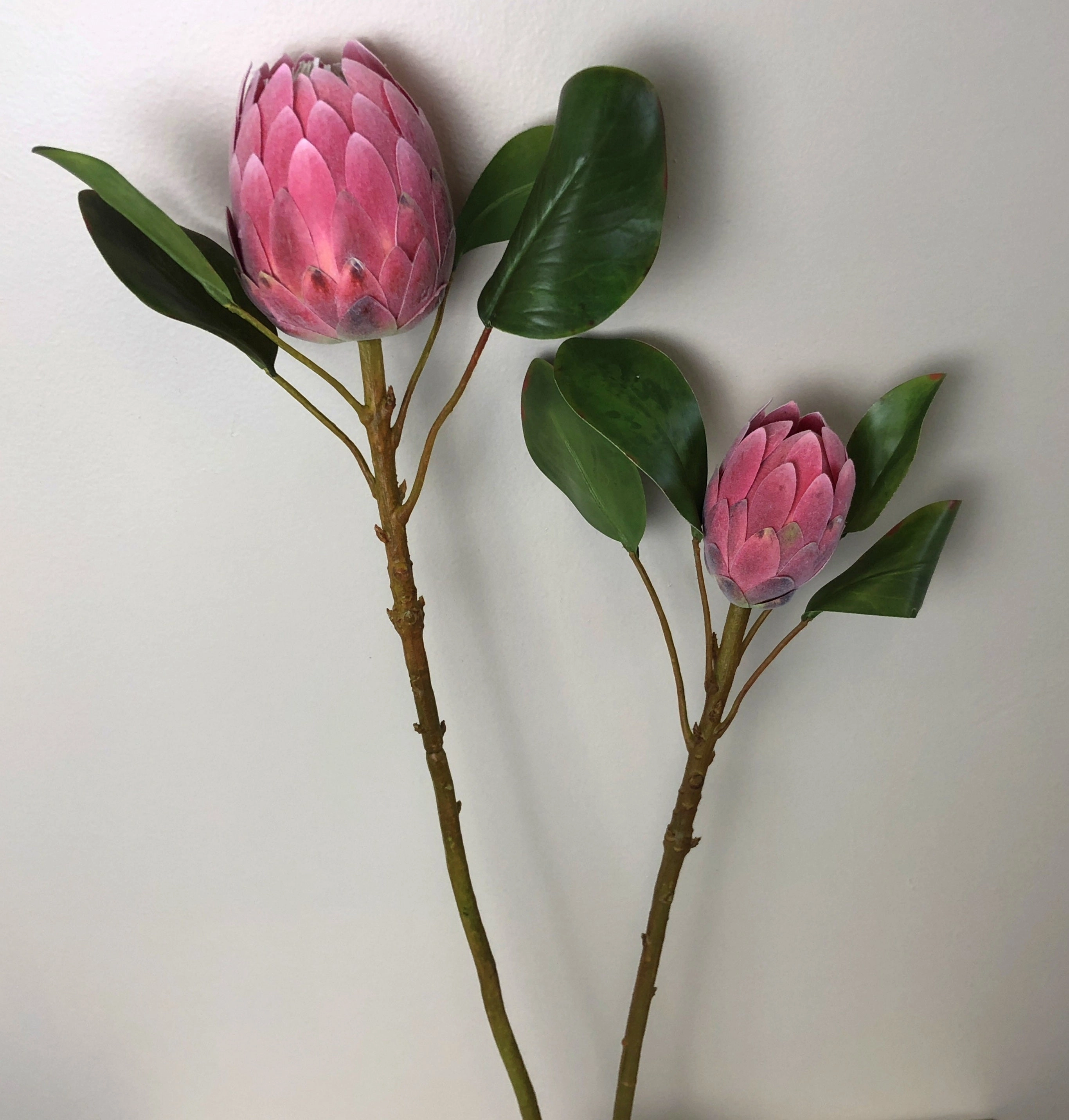 F0226 Protea Half Open 2 Sizes Pink Colour