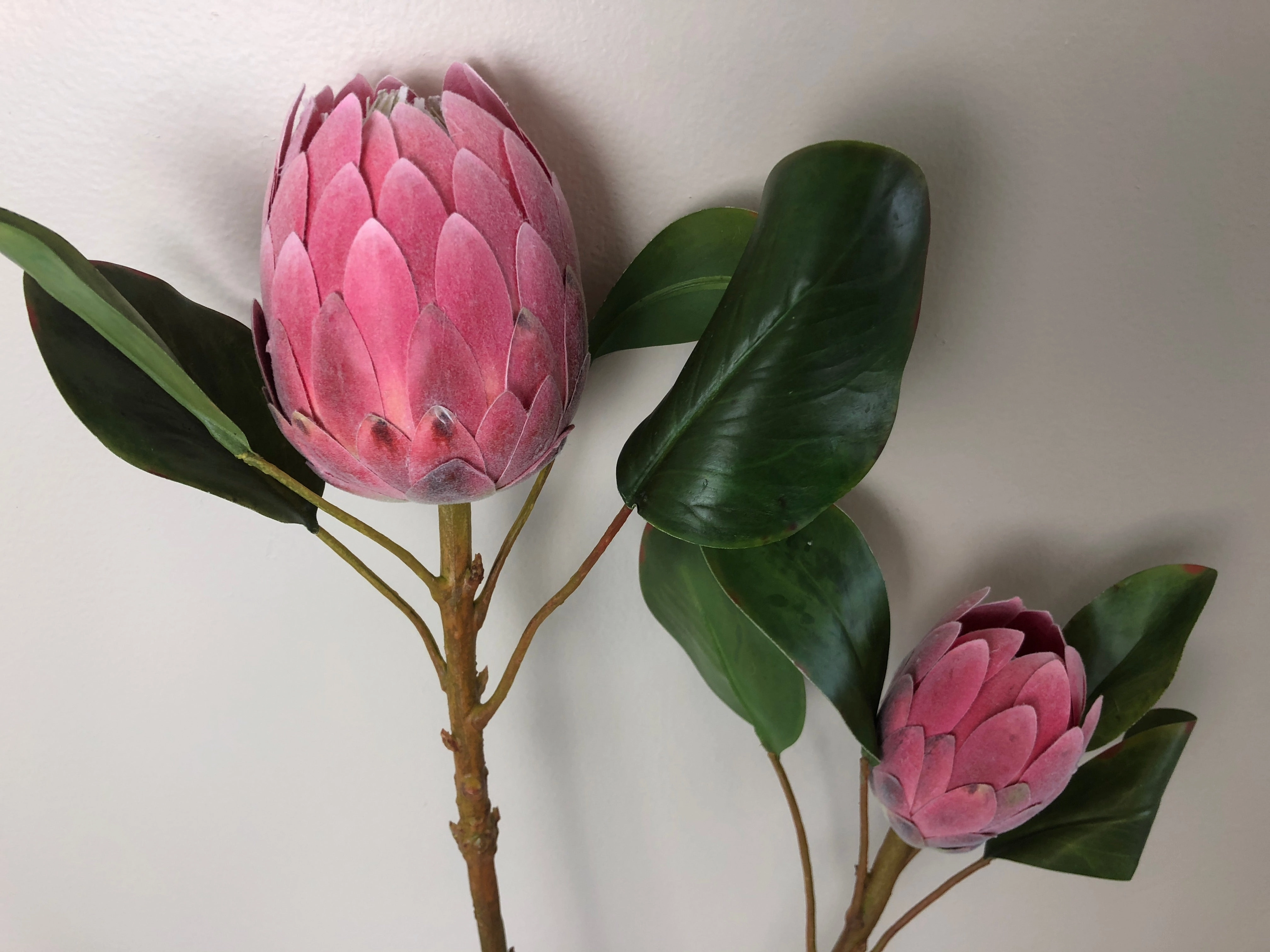 F0226 Protea Half Open 2 Sizes Pink Colour