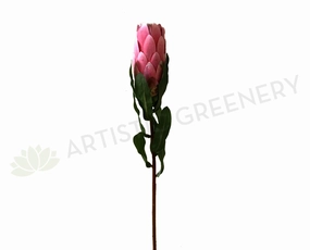 F0227 Mink Protea Bud 50cm Pink outdoor greenery  