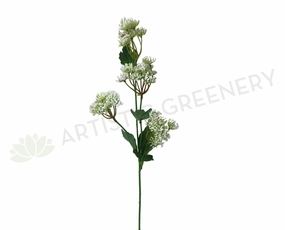 F0229 Queen Anne's Lace (Wild Carrot) 67cm xl flower pot  