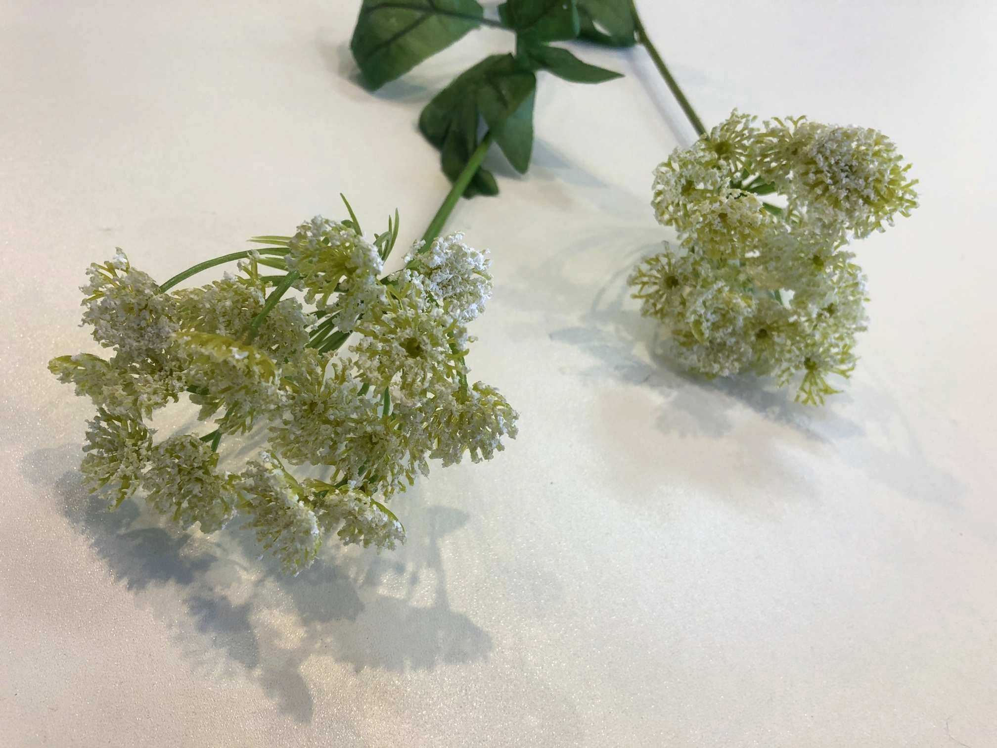 F0229 Queen Anne's Lace (Wild Carrot) 67cm