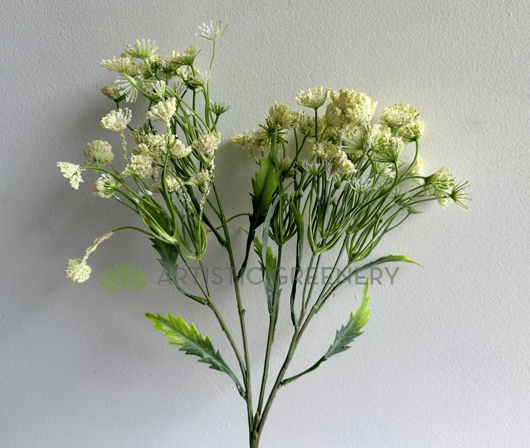 F0229L Queen Anne's Lace / Wild Carrot / Cow Parsely 60cm Large