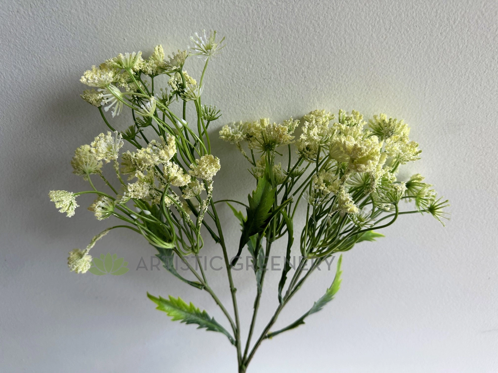 F0229L Queen Anne's Lace / Wild Carrot / Cow Parsely 60cm Large