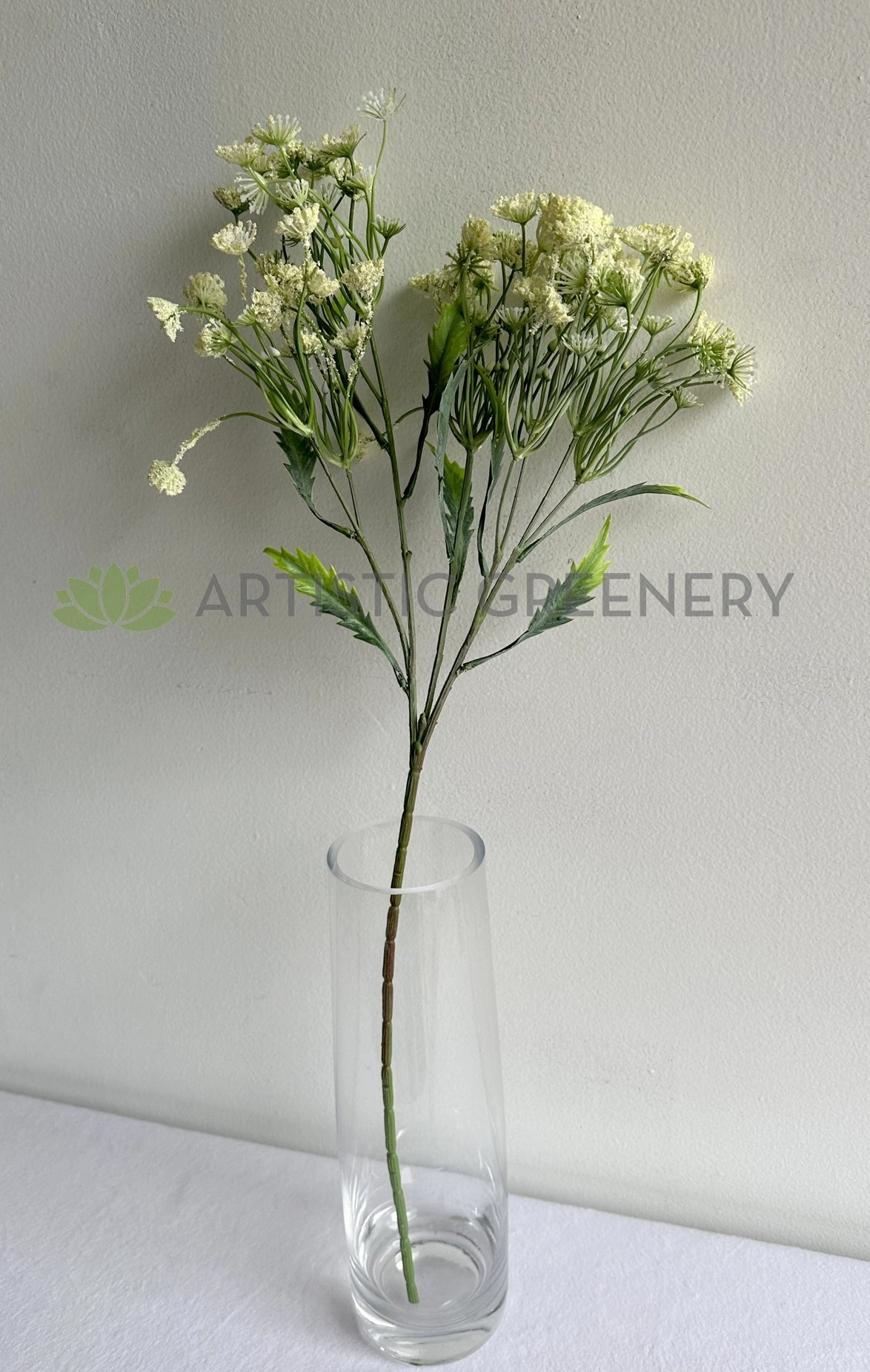 F0229L Queen Anne's Lace / Wild Carrot / Cow Parsely 60cm Large