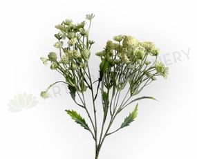 F0229L Queen Anne's Lace / Wild Carrot / Cow Parsely 60cm Large xl flower pot  