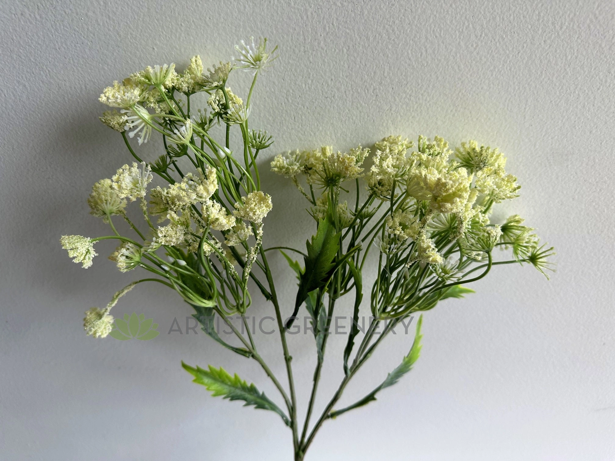 F0229L Queen Anne's Lace / Wild Carrot / Cow Parsely 60cm Large