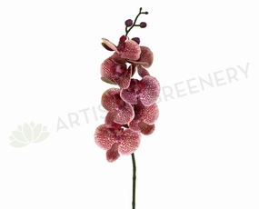 F0234 Phalaenopsis Alysha's Dots Orchid 84cm Real Touch outdoor greenery  