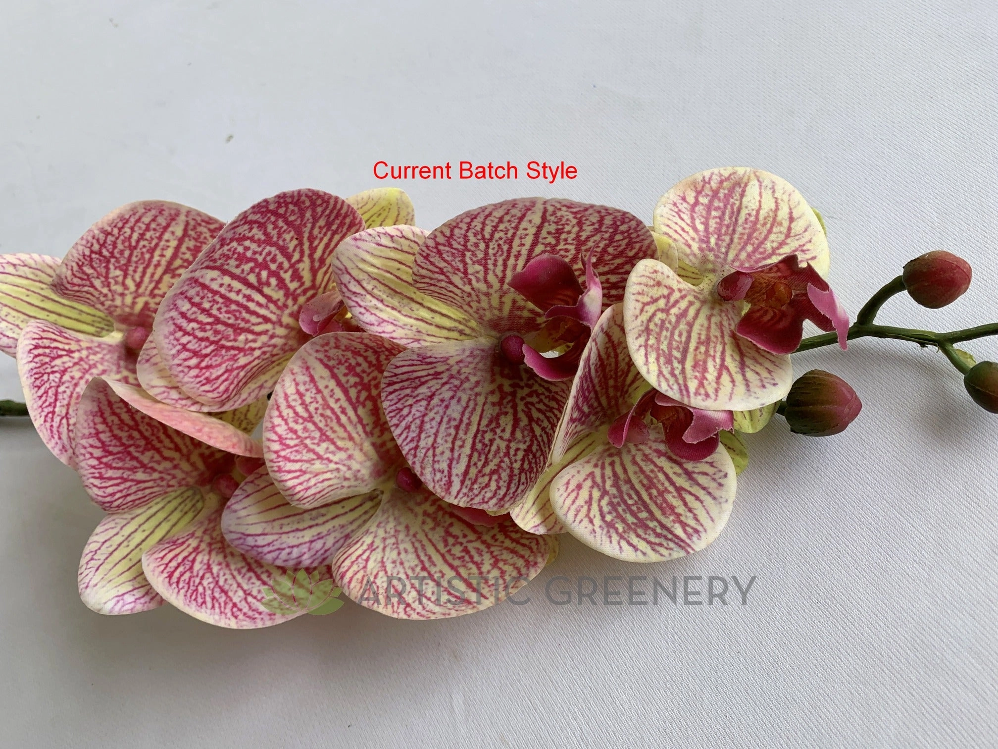 F0234 Phalaenopsis Alysha's Dots Orchid 84cm Real Touch