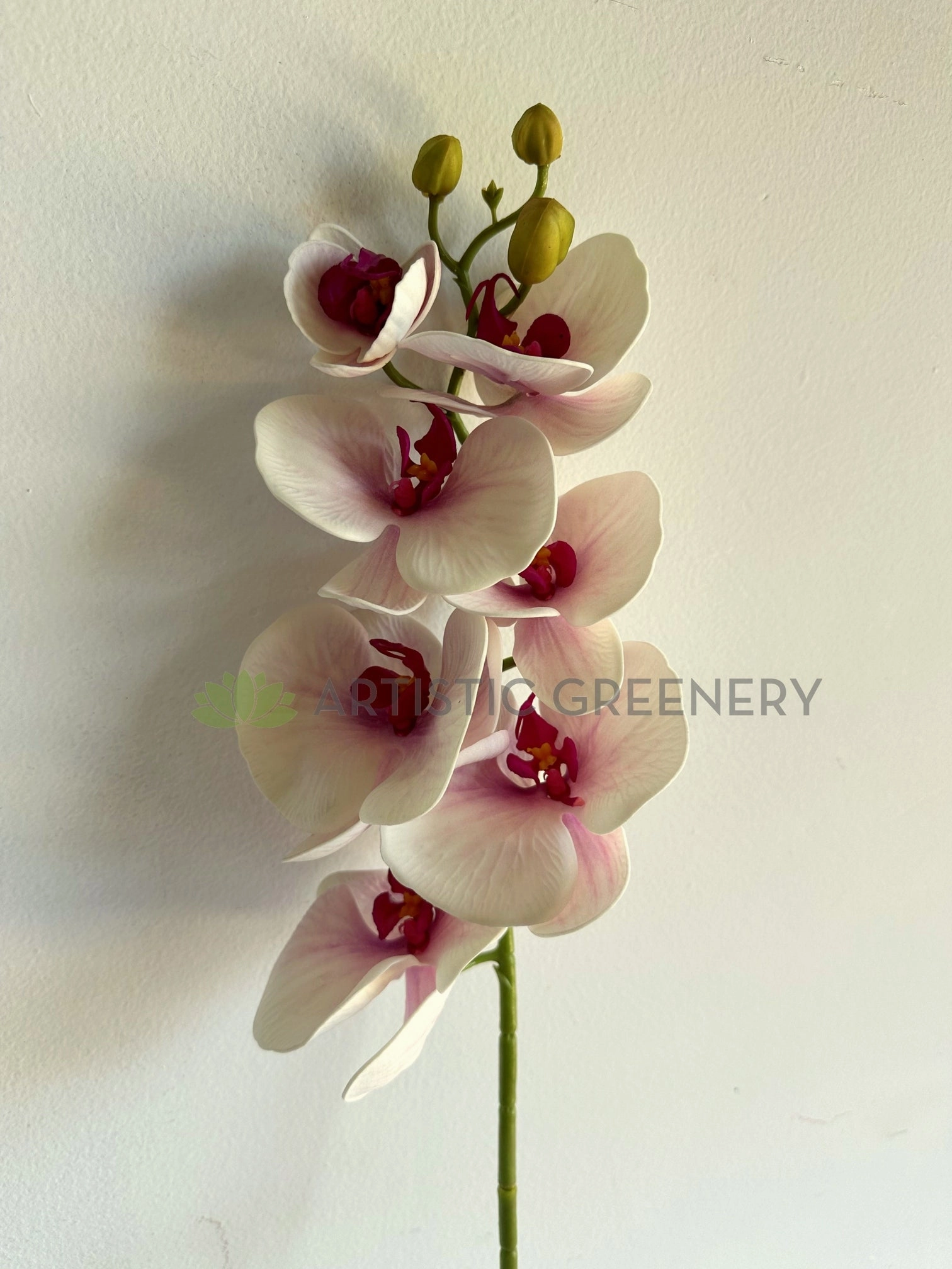 F0235 Phalaenopsis Orchid 77cm Real Touch Light Pink