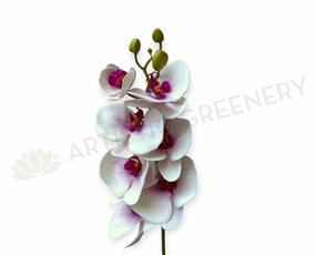 F0235 Phalaenopsis Orchid 77cm Real Touch Light Pink outdoor greenery  