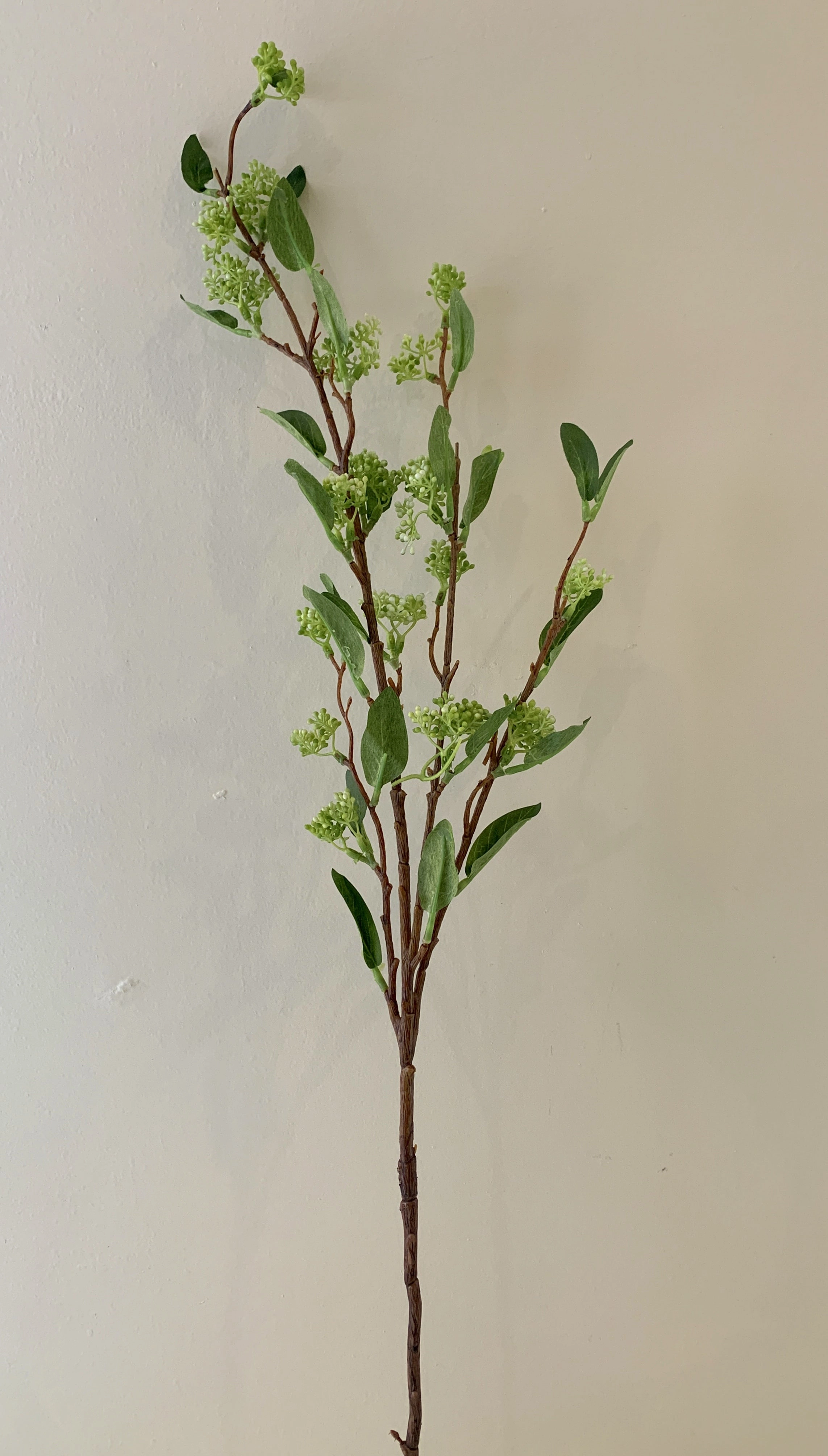 F0240 Skmmia Spray 100cm Green