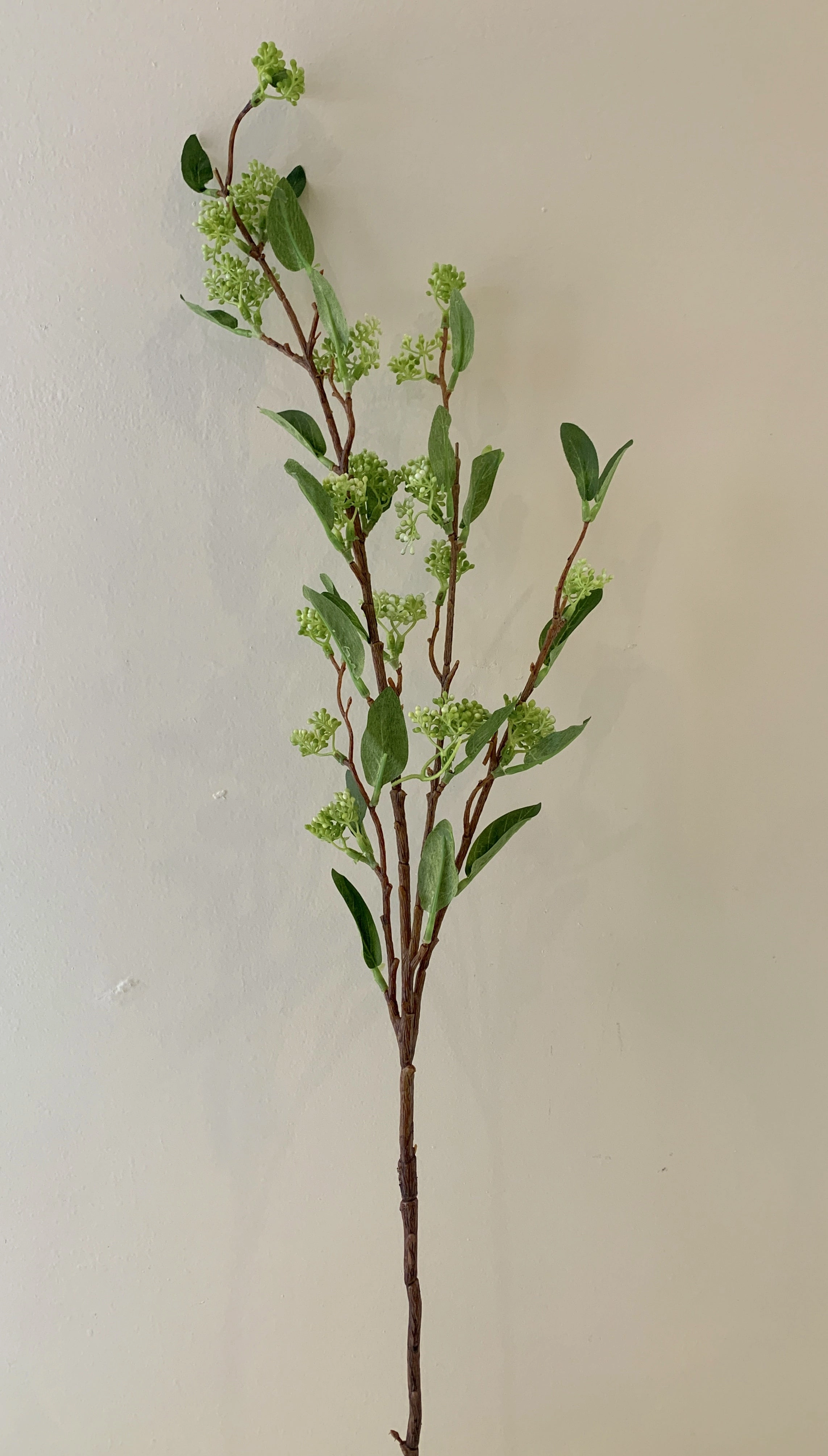F0240 Skmmia Spray 100cm Green