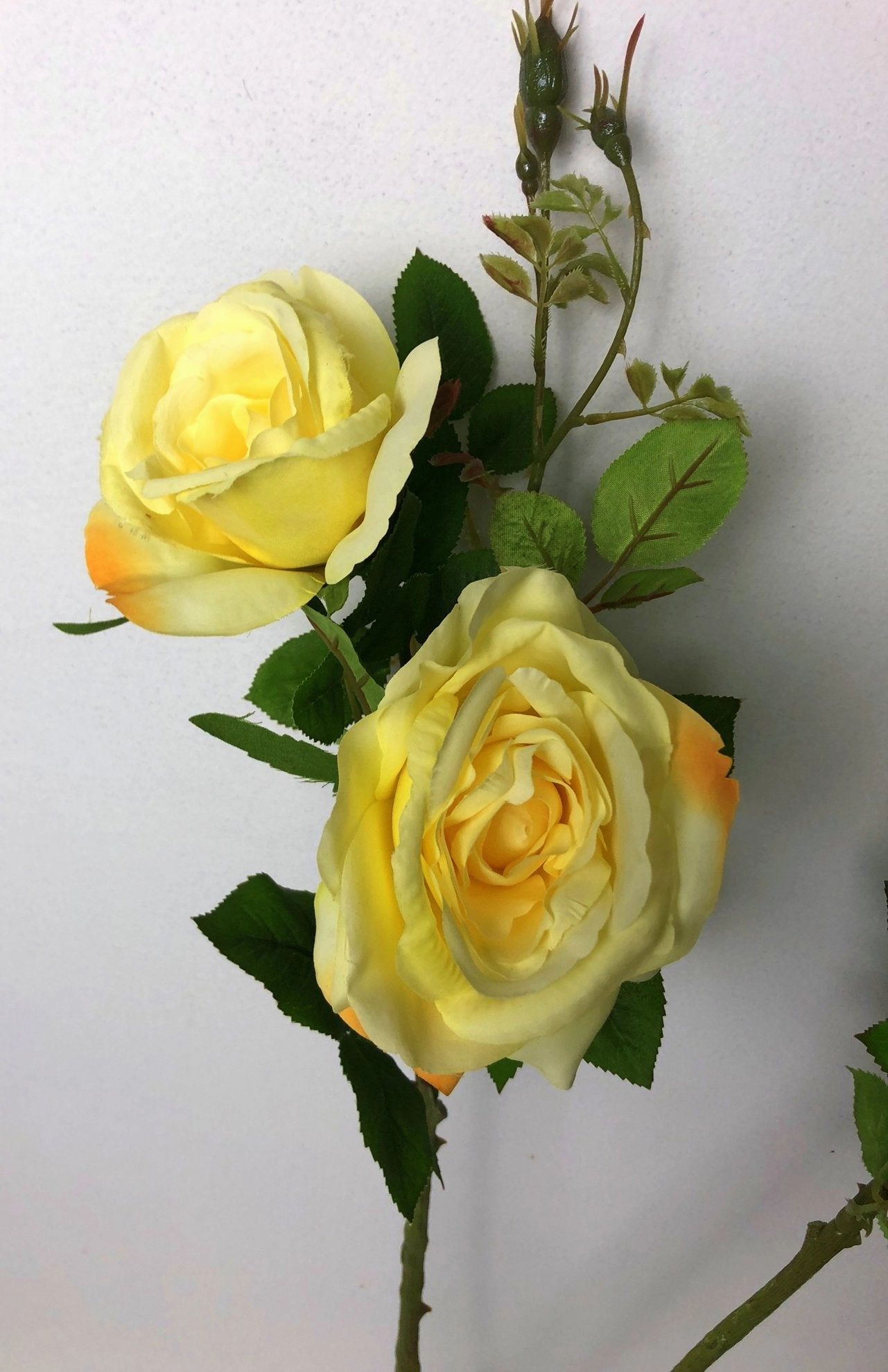 F0243 Double Rose Spray 67cm Light Yellow / Light Green SALE