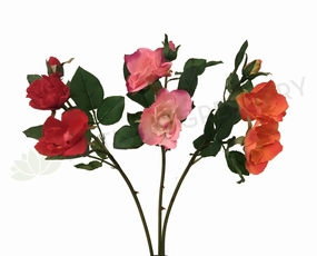 F0247 Open Garden Rose Spray 45cm Red / Pink / Orange (Clearance Stock) indoor houseplants  