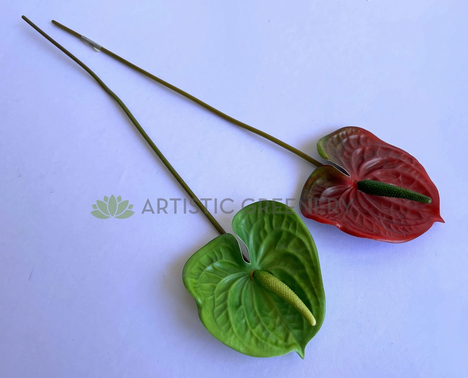 F0257 Anthurium / Flamingo Flower 55cm Red / Green