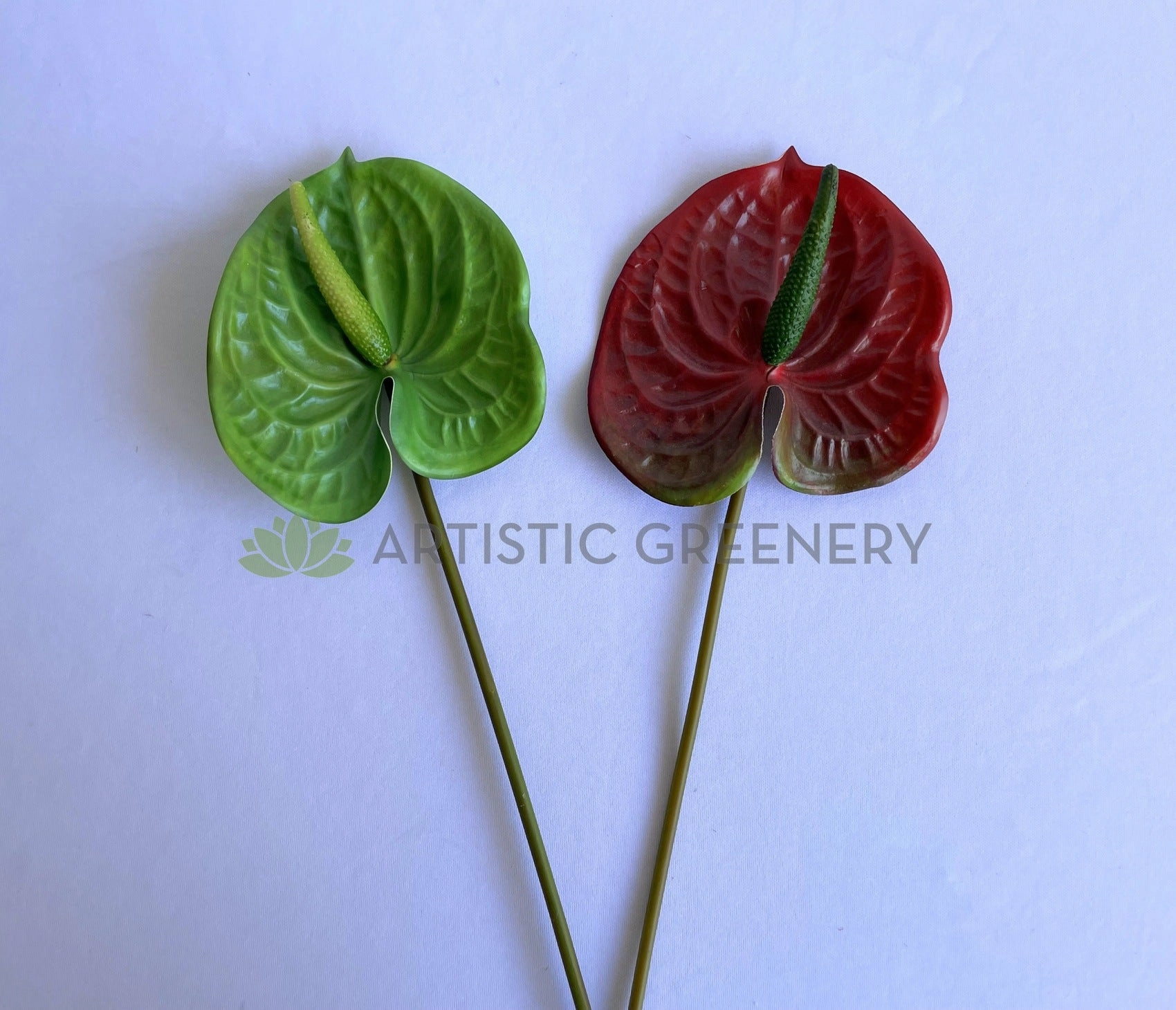 F0257 Anthurium / Flamingo Flower 55cm Red / Green