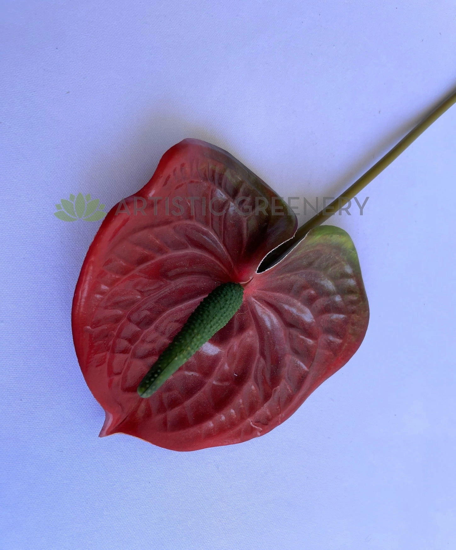 F0257 Anthurium / Flamingo Flower 55cm Red / Green
