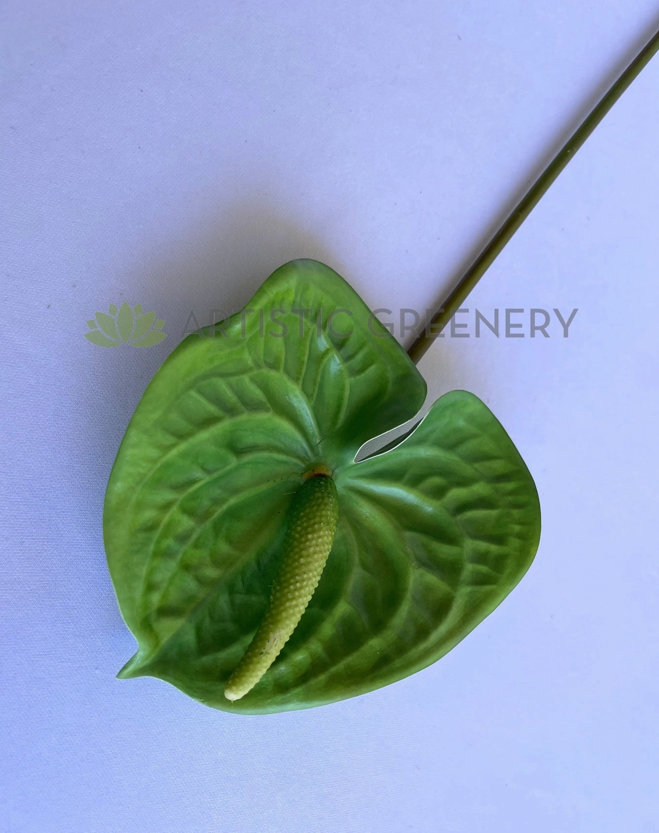 F0257 Anthurium / Flamingo Flower 55cm Red / Green