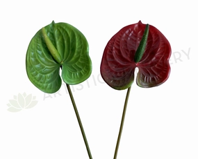 F0257 Anthurium / Flamingo Flower 55cm Red / Green outdoor greenery  