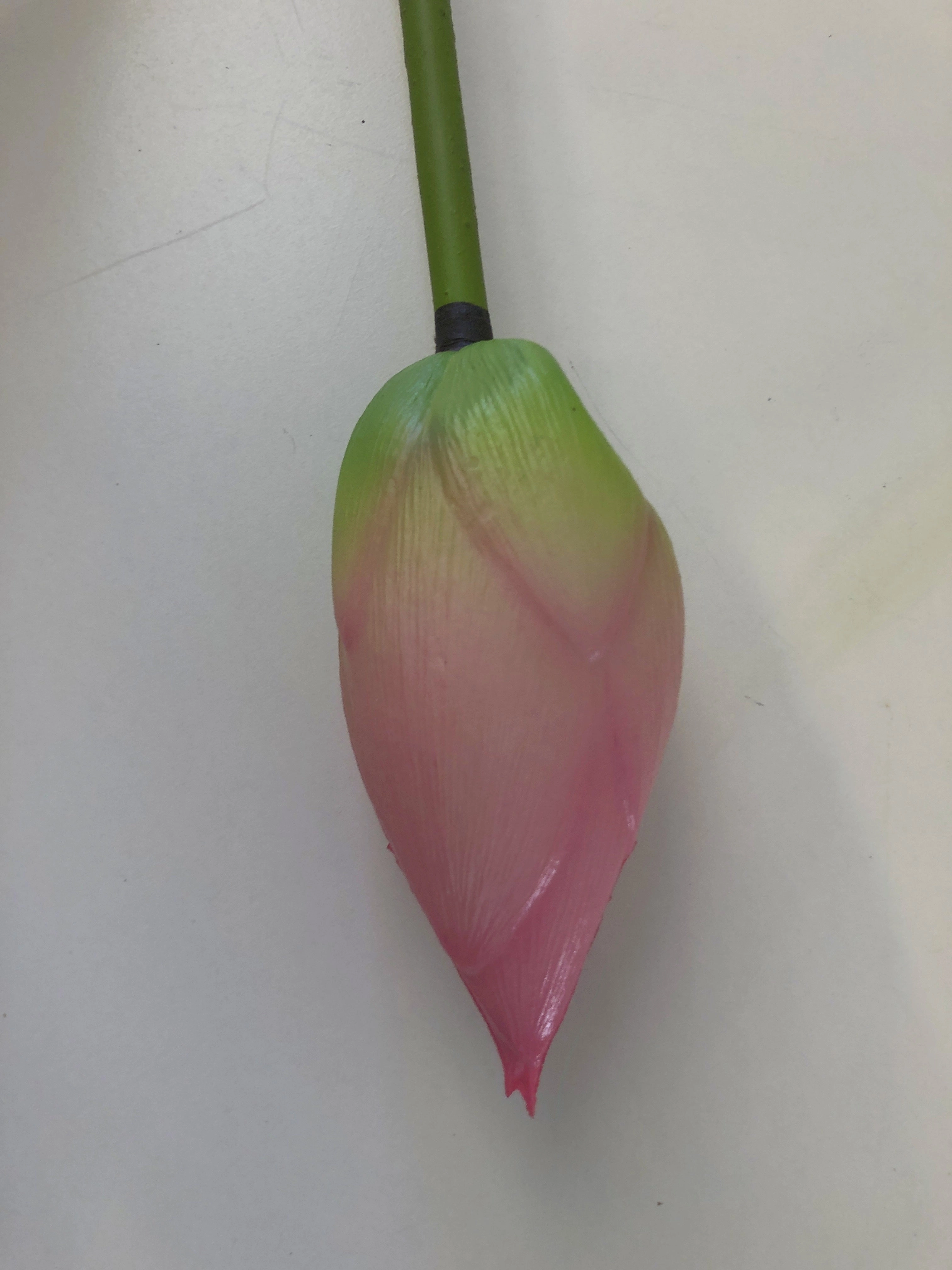 F0258 Lotus Pod 84cm Green / F0259 Water Lily Bud (Pink) 93cm