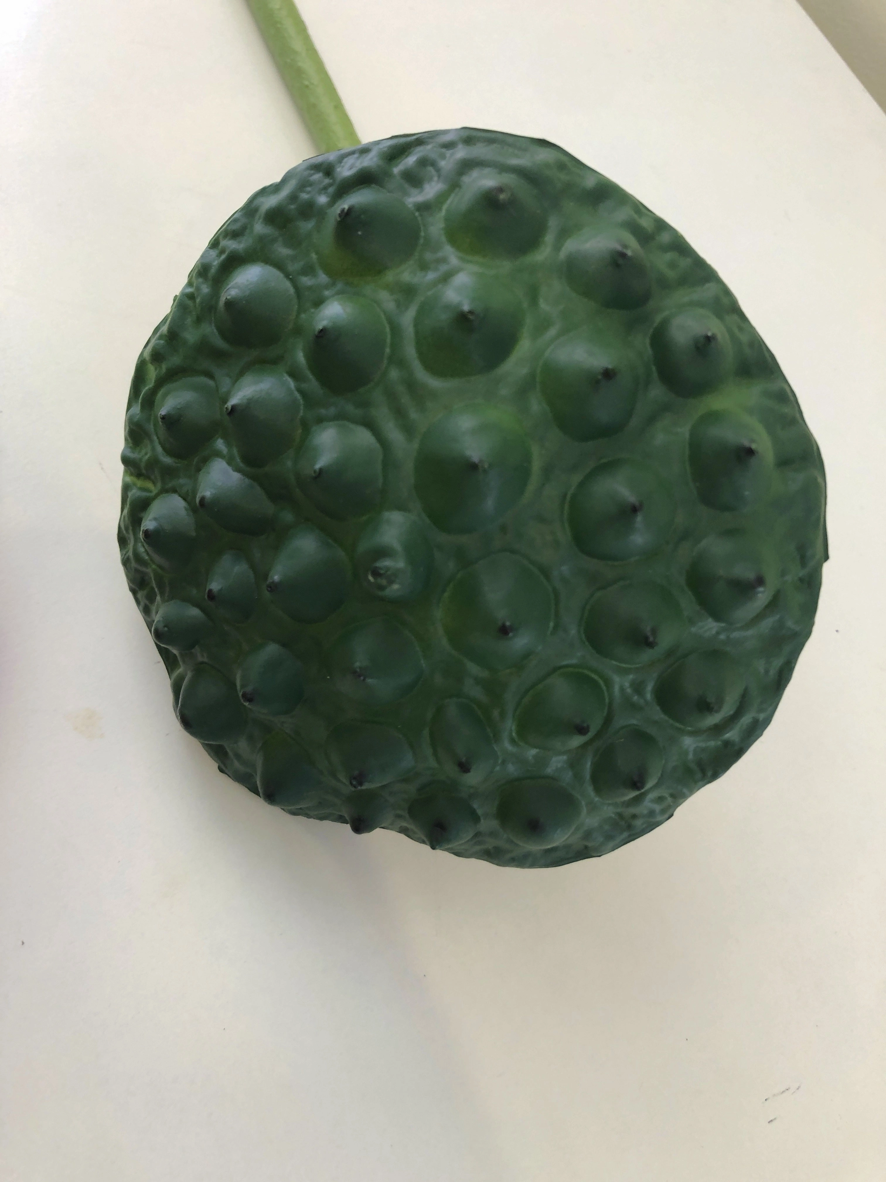 F0258 Lotus Pod 84cm Green / F0259 Water Lily Bud (Pink) 93cm