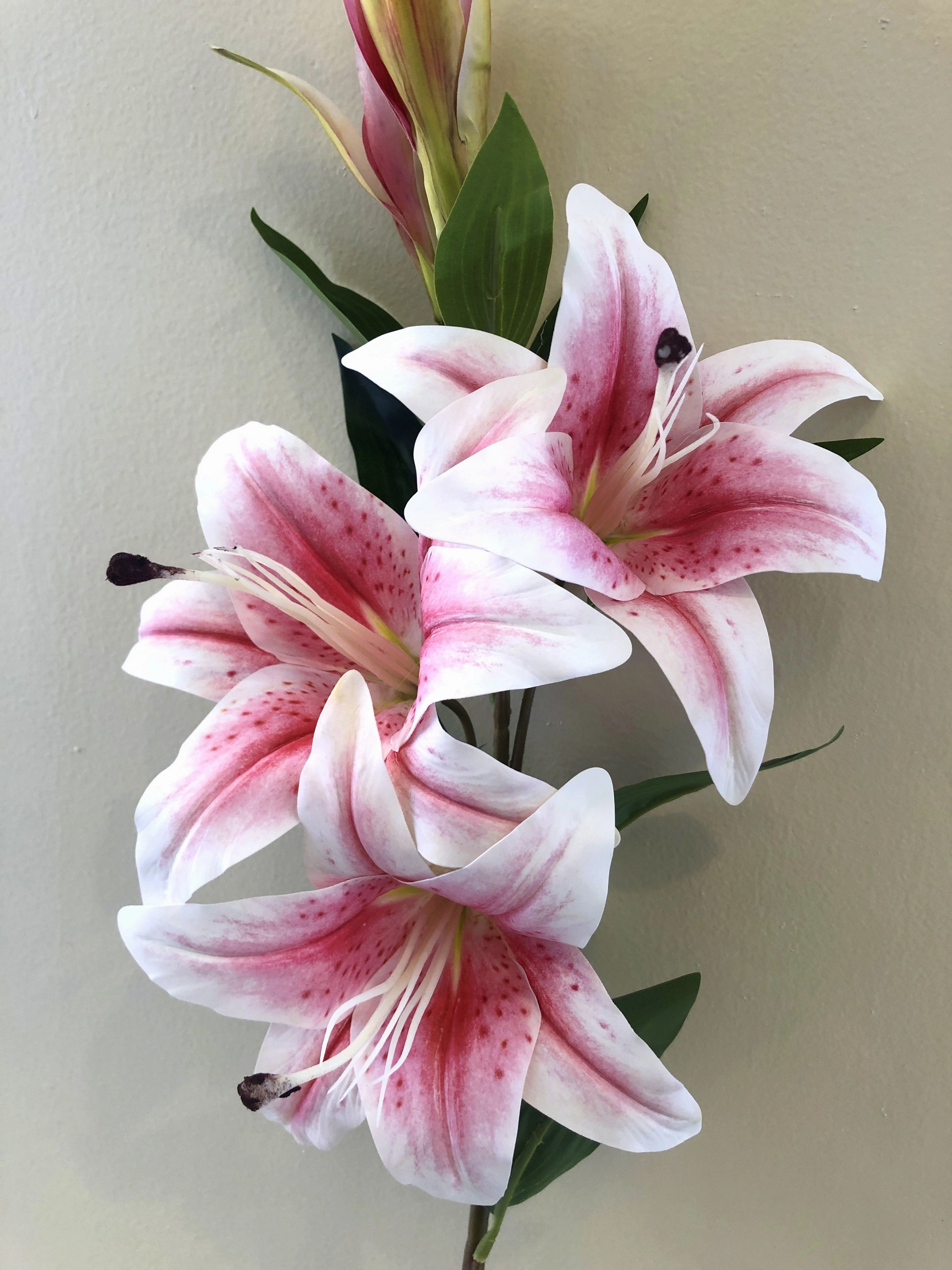 F0263 Lily Stargazer Spray 100cm Latex 2 Colours