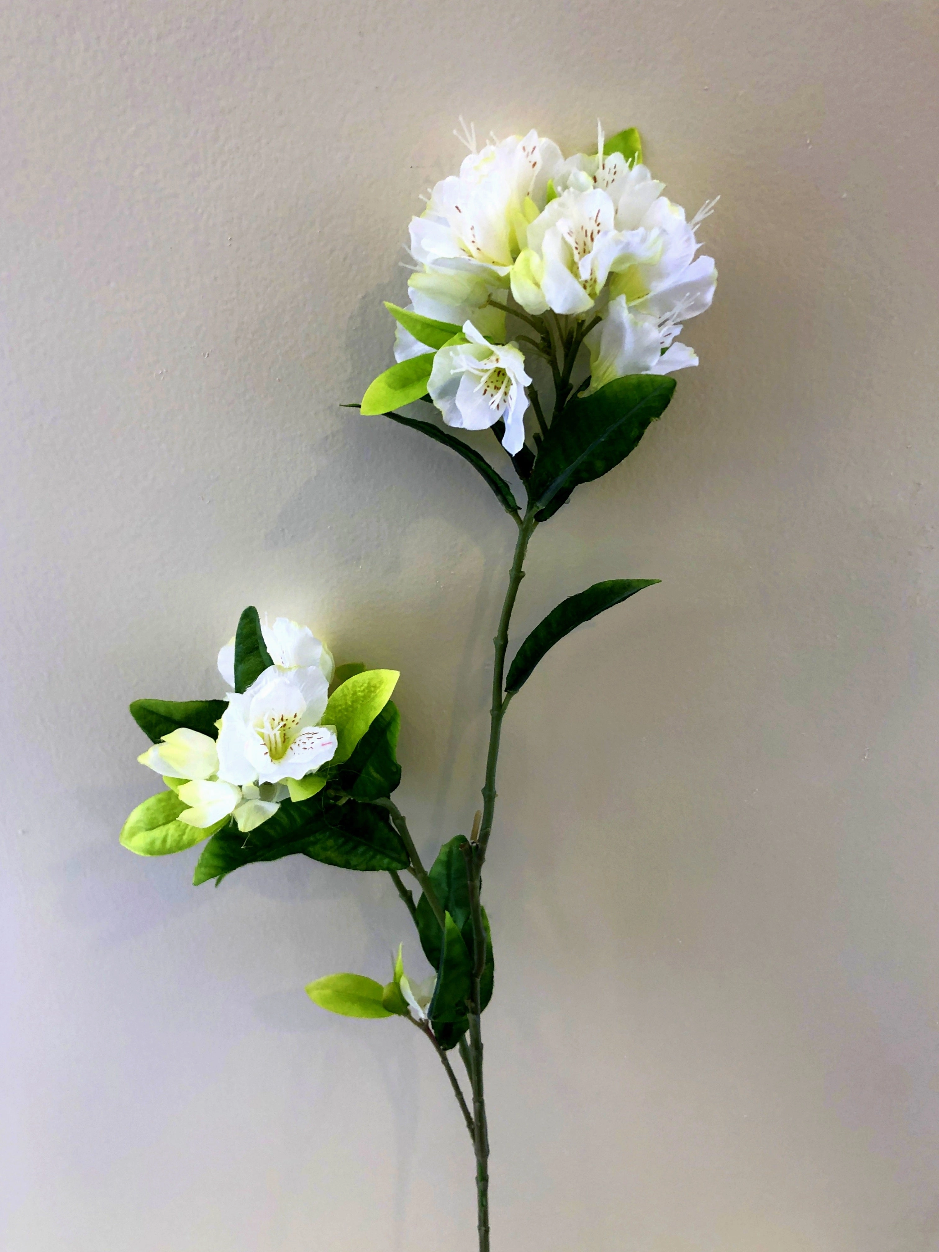 F0269 Azalea / Rhododendron Spray 94cm White