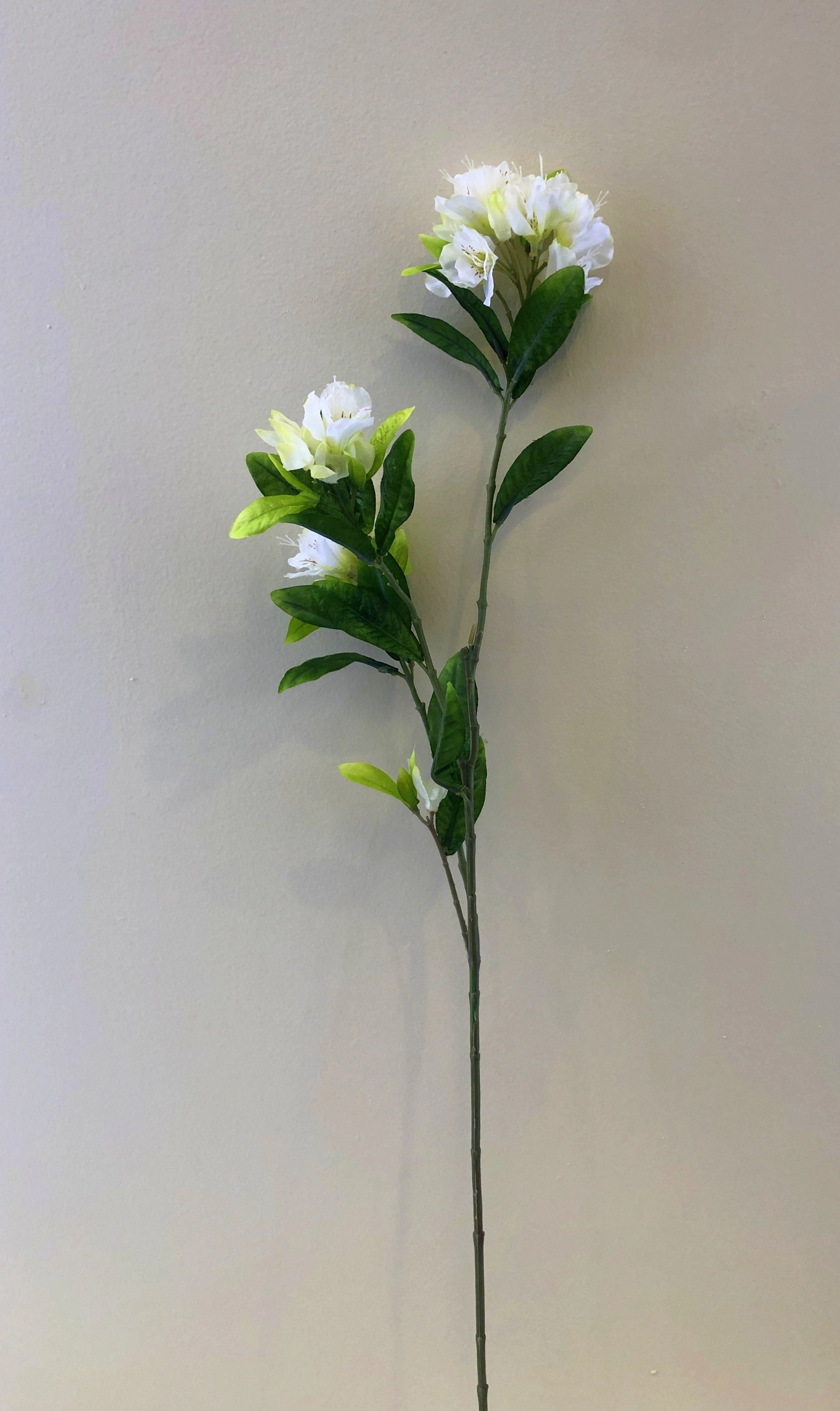 F0269 Azalea / Rhododendron Spray 94cm White