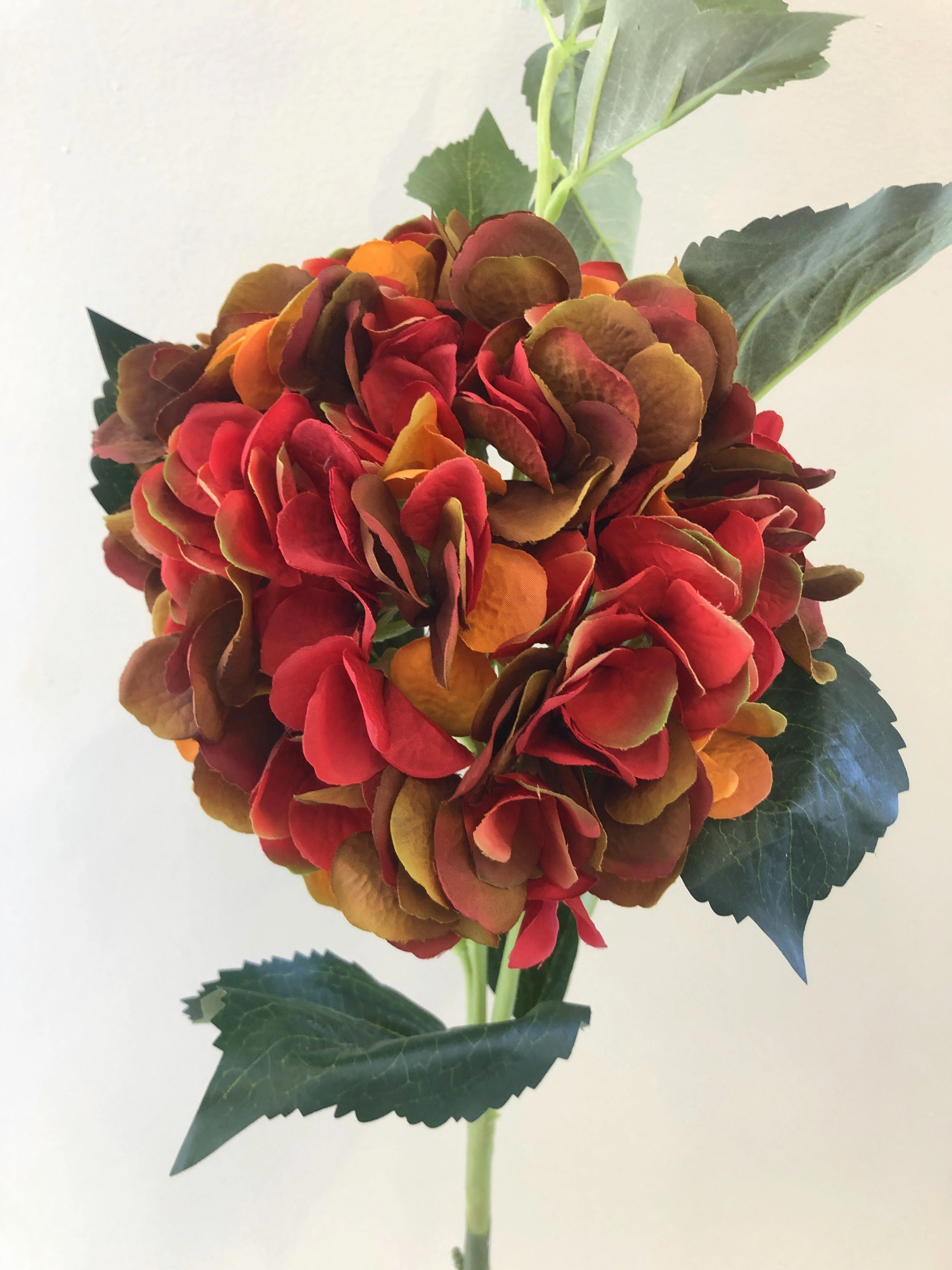 F0270 Hydrangea (Large) Single Stem 82cm Autumn Colour - Orange