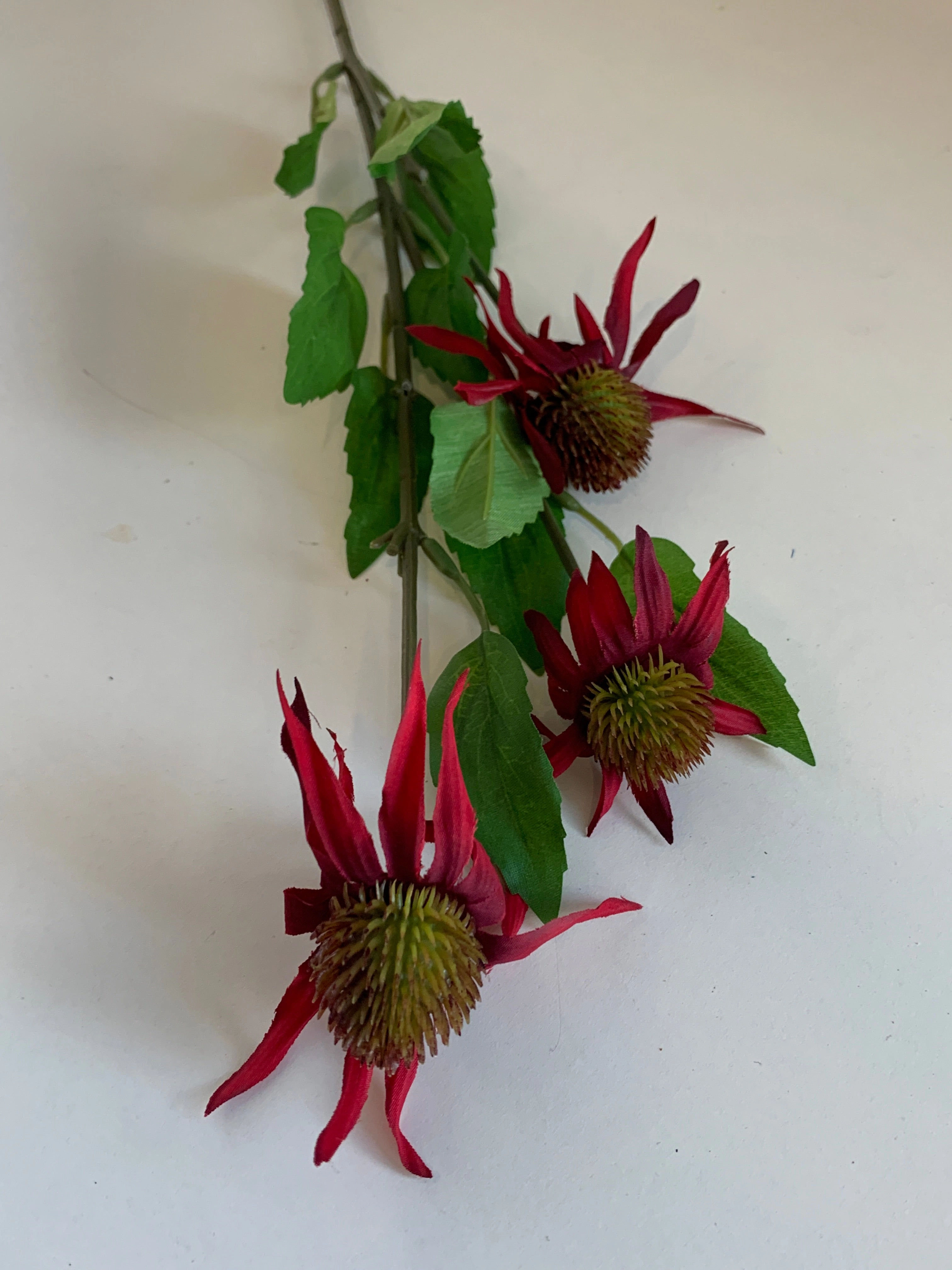 F0275 Cone Flower Spray 60cm 5 Colours
