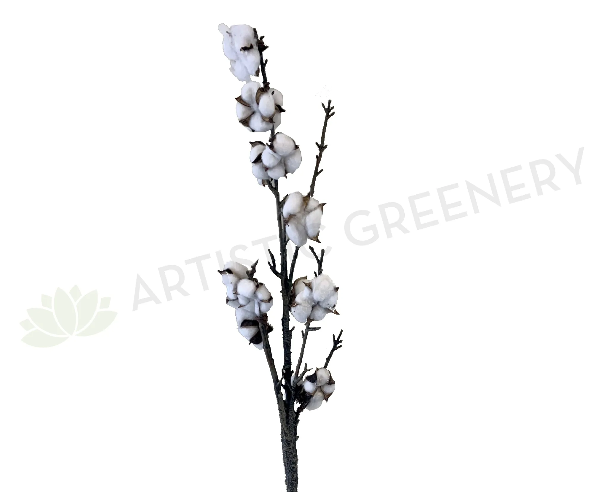 F0277 Artificial Cotton Flower Spray  Available in 2 Styles 110cm/78cm dried green plant  