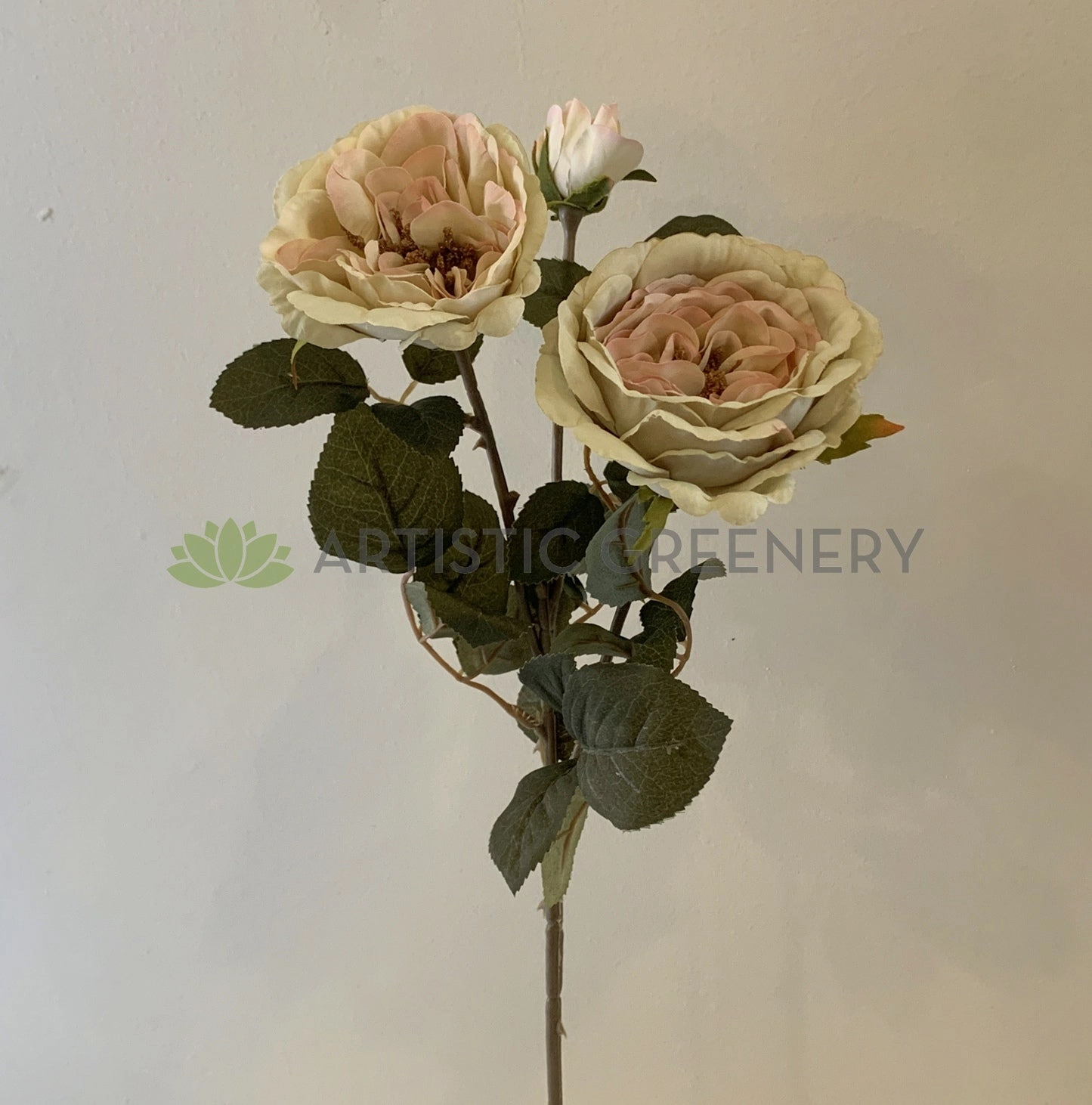 F0280 Rustic David Austin Rose Spray 60cm Blue / Cream / Pink / Light Pink