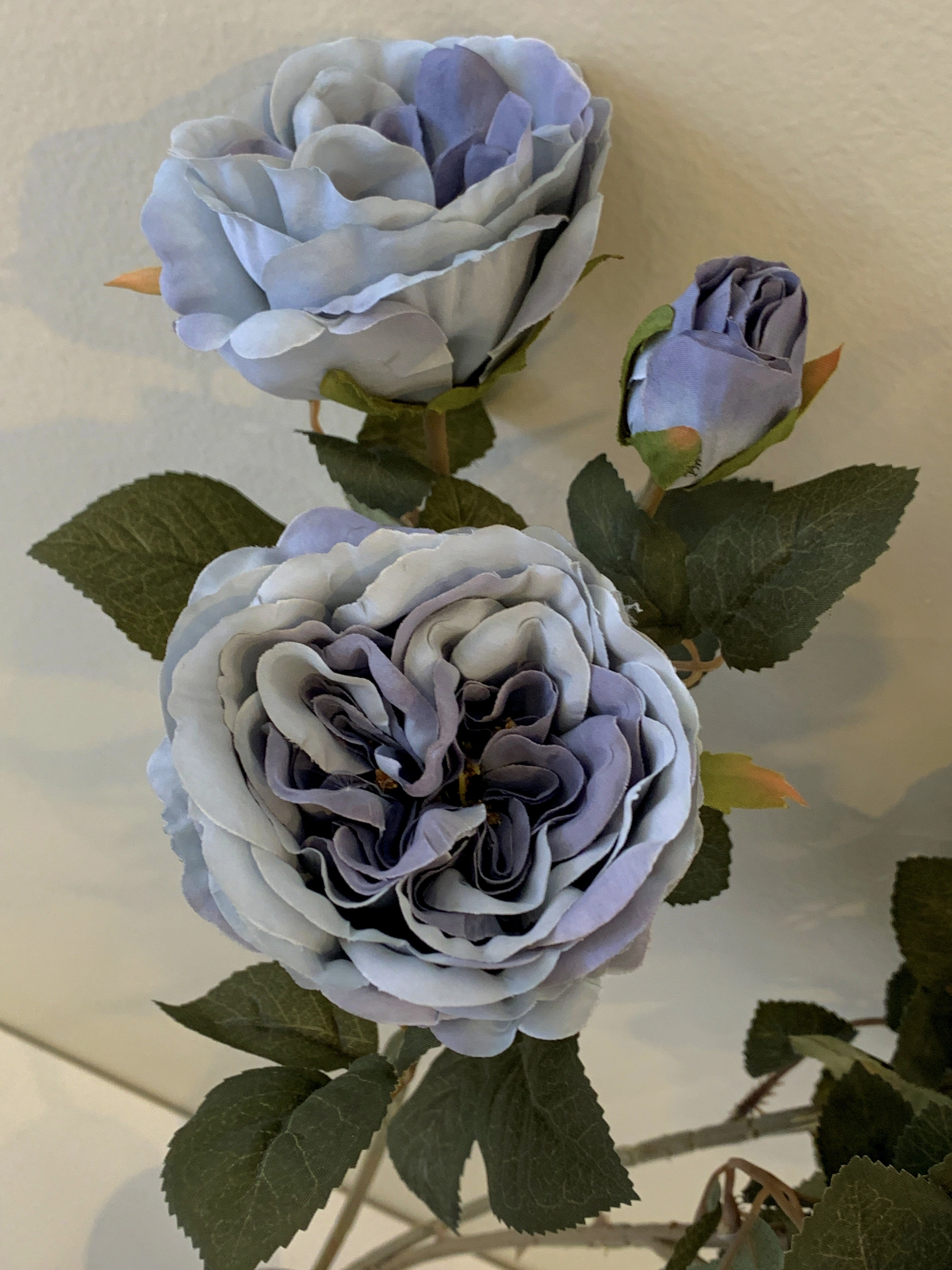 F0280 Rustic David Austin Rose Spray 60cm Blue / Cream / Pink / Light Pink