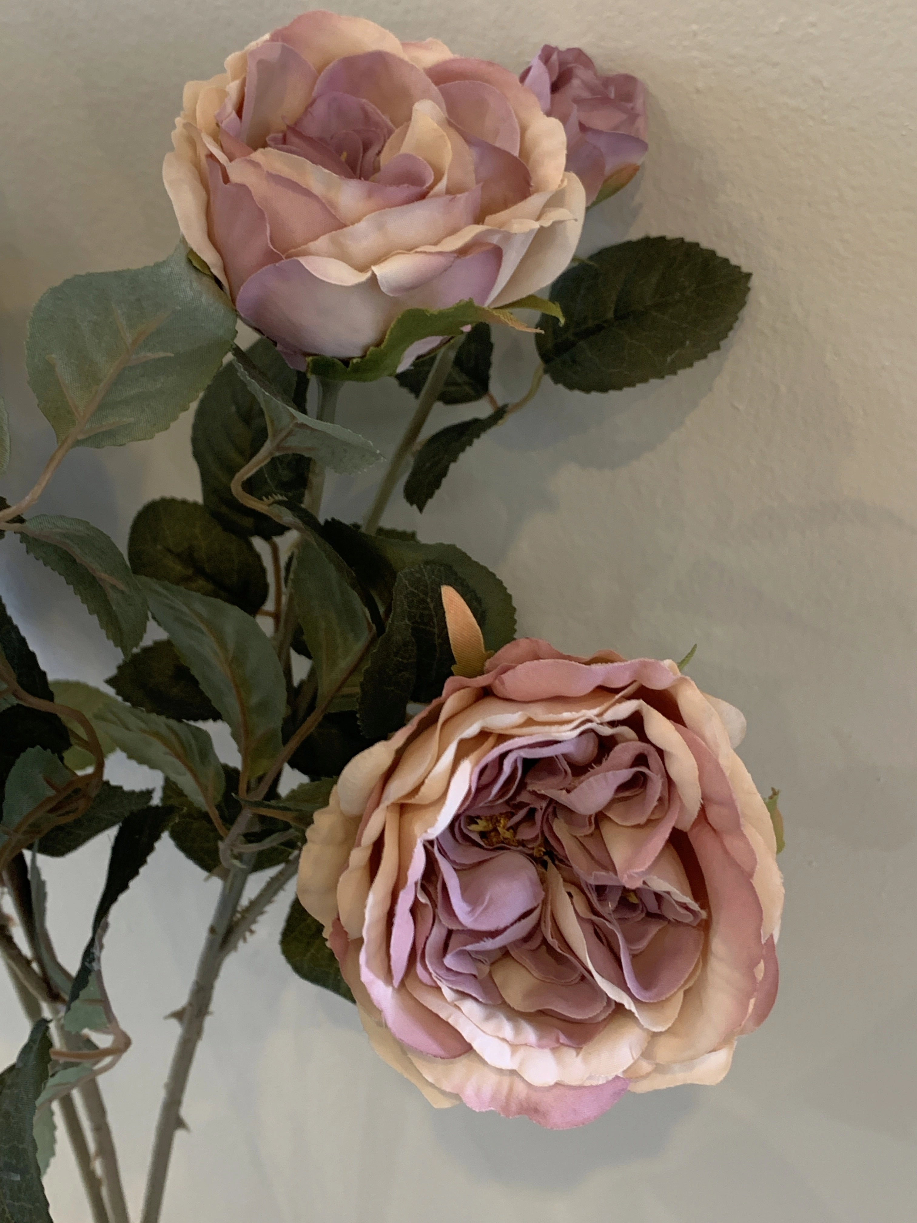 F0280 Rustic David Austin Rose Spray 60cm Blue / Cream / Pink / Light Pink