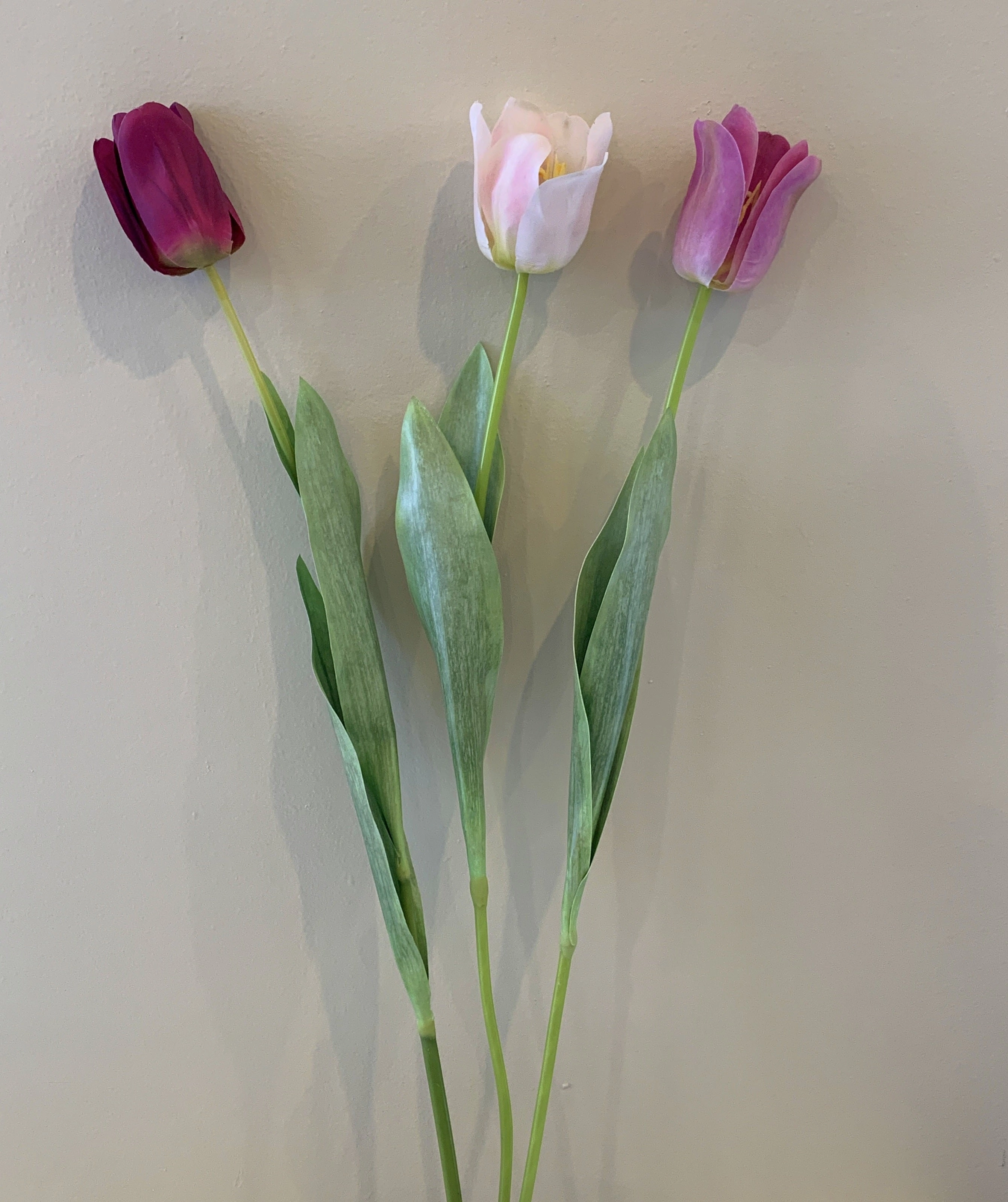 F0282 Single Stem Tulip Stem 67cm 3 Colours