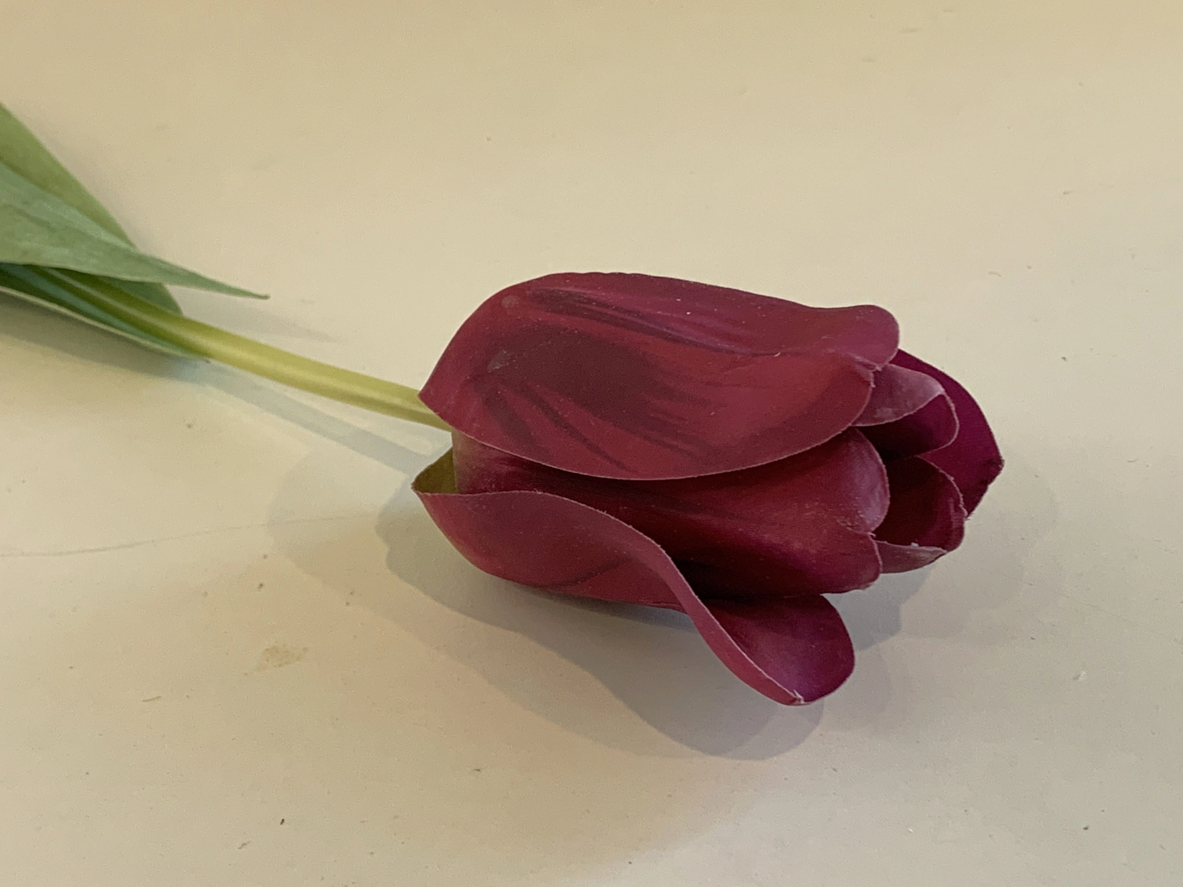 F0282 Single Stem Tulip Stem 67cm 3 Colours