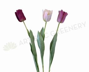 F0282 Single Stem Tulip Stem 67cm 3 Colours outdoor greenery  