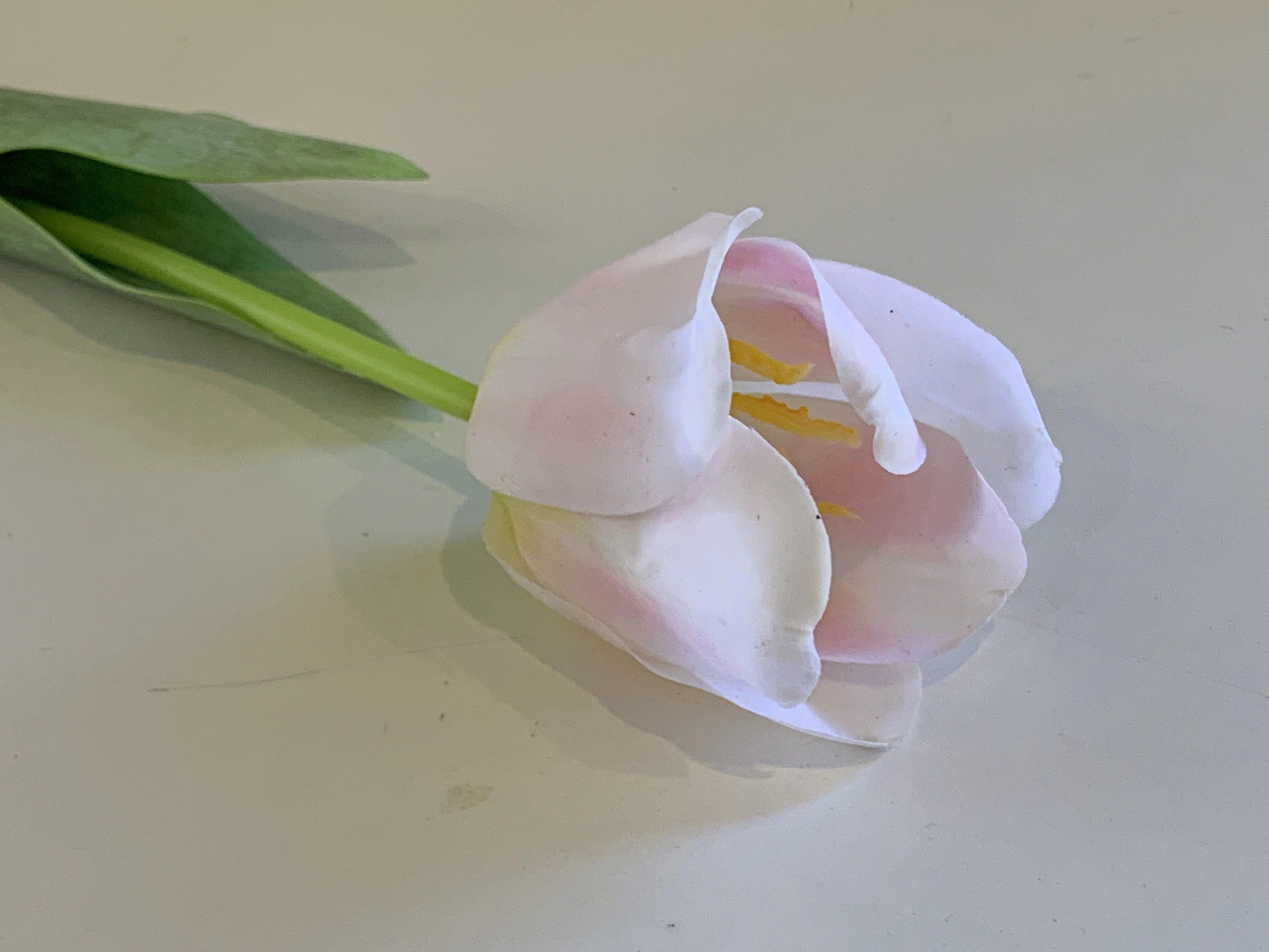 F0282 Single Stem Tulip Stem 67cm 3 Colours