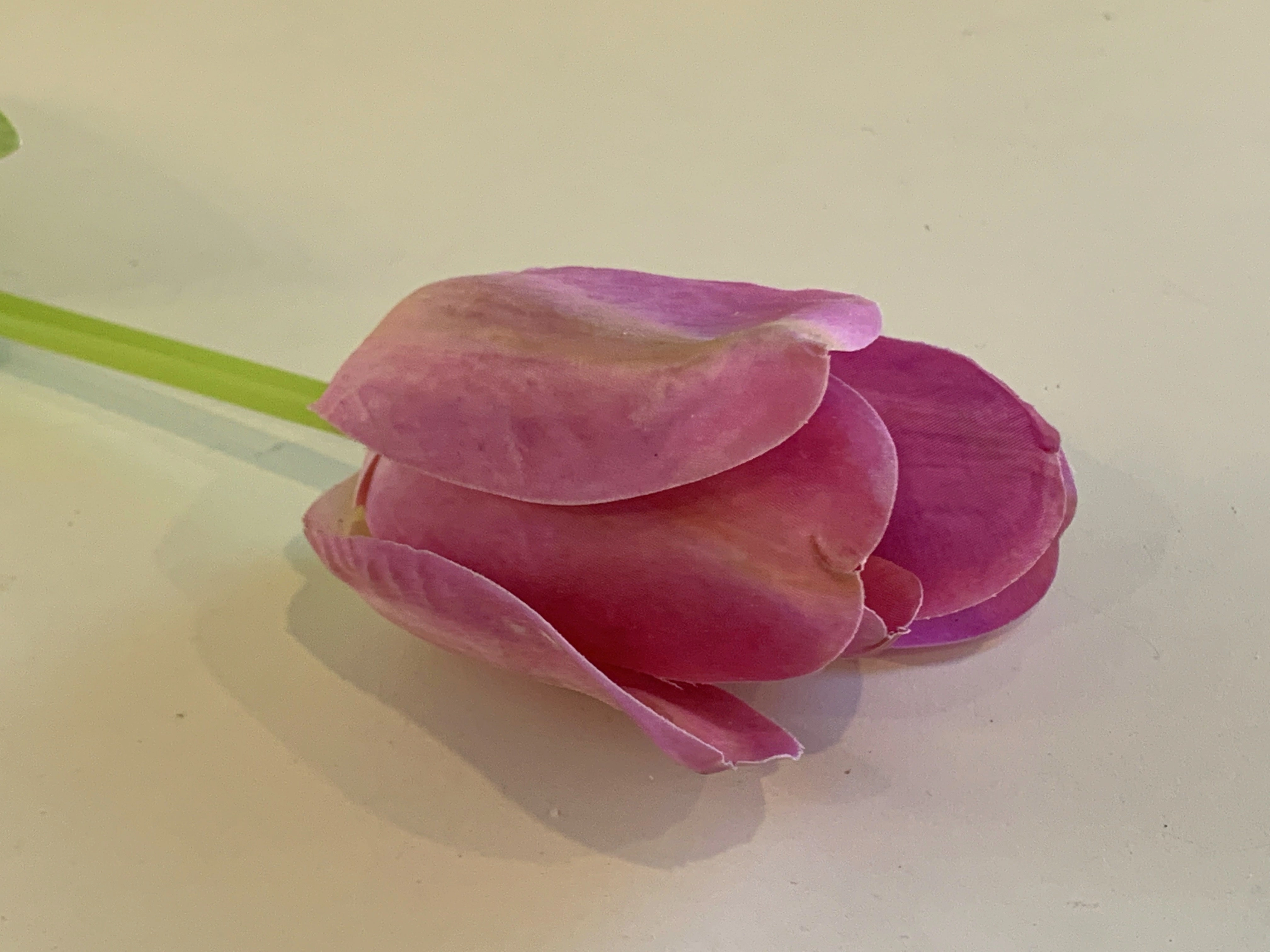 F0282 Single Stem Tulip Stem 67cm 3 Colours